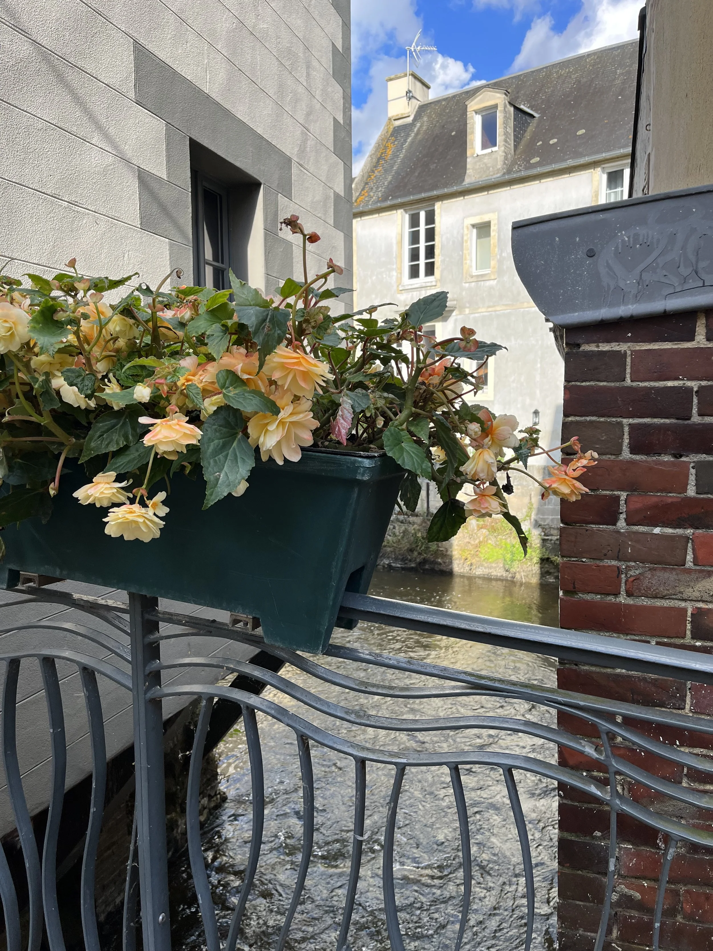 IMG_4713.jpeg