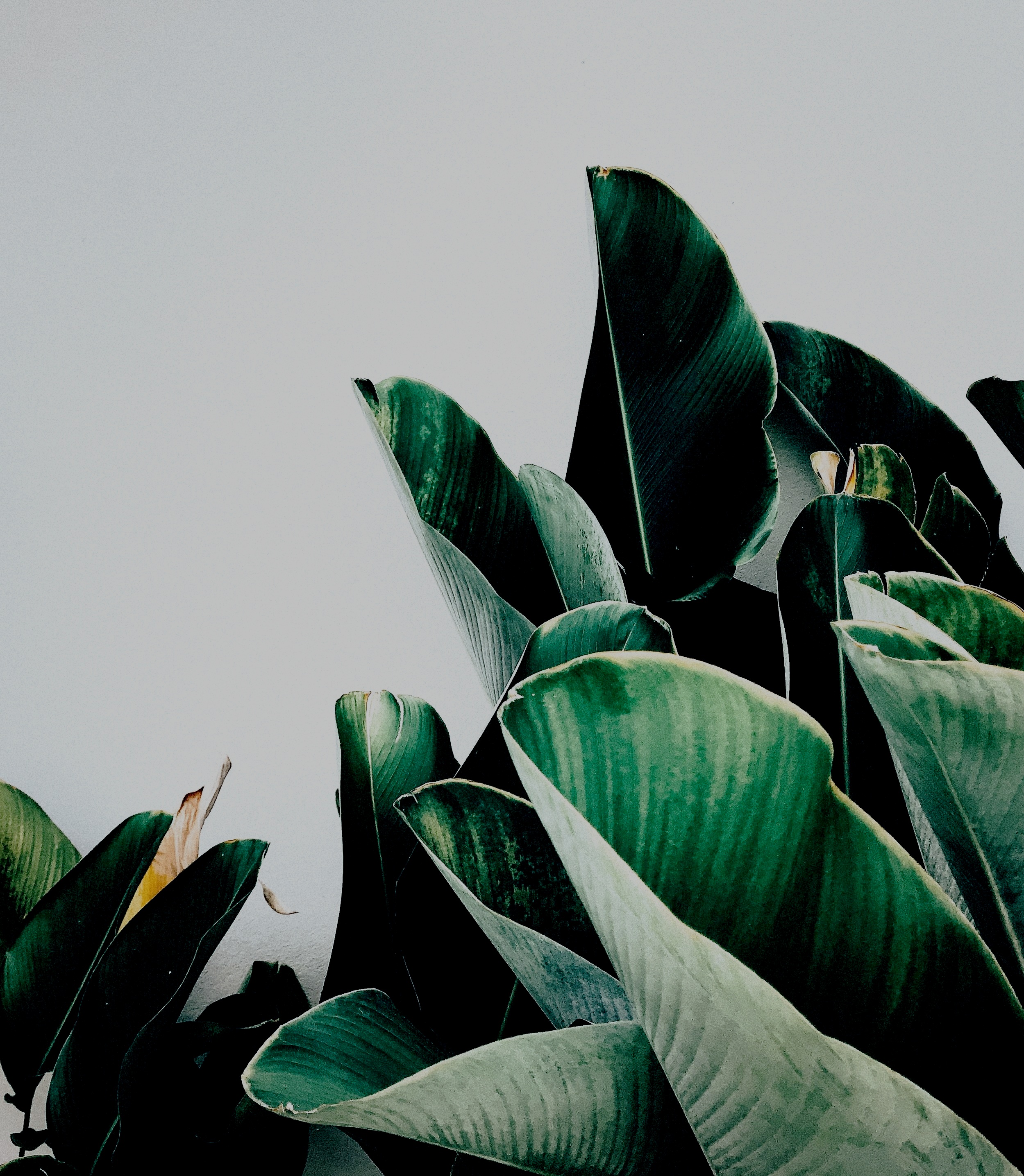 kiki-siepel-787802-unsplash.jpg