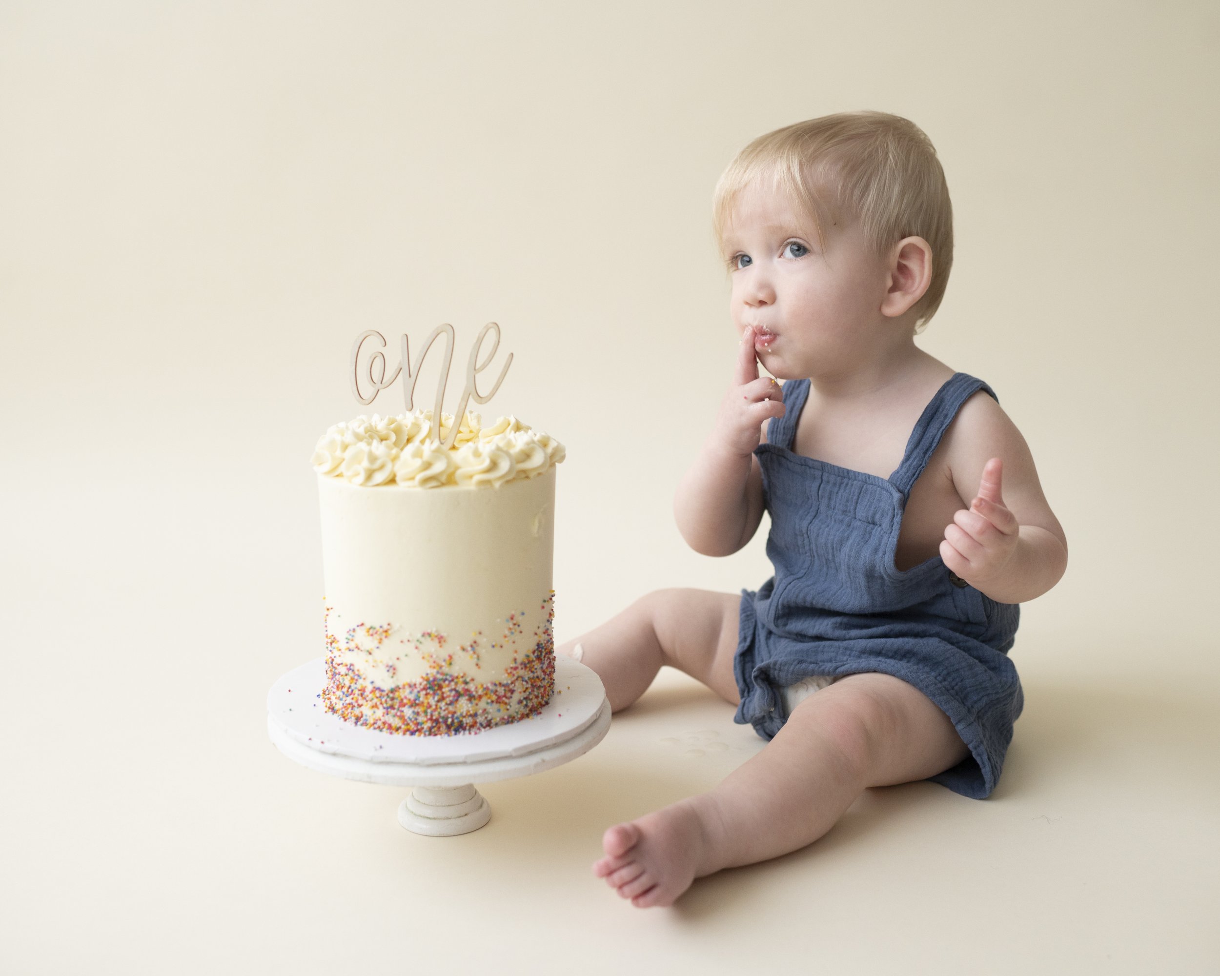cakesmashphotographerfirstbirthday.jpg