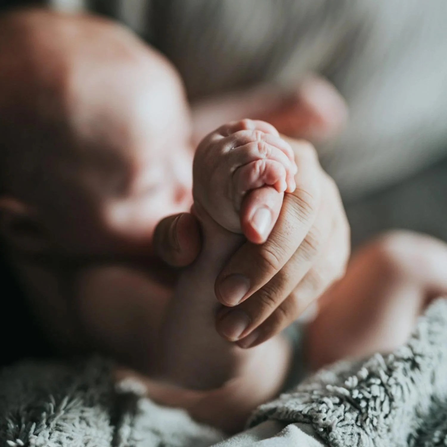 Close-up of a newborn baby holding an adult's finger