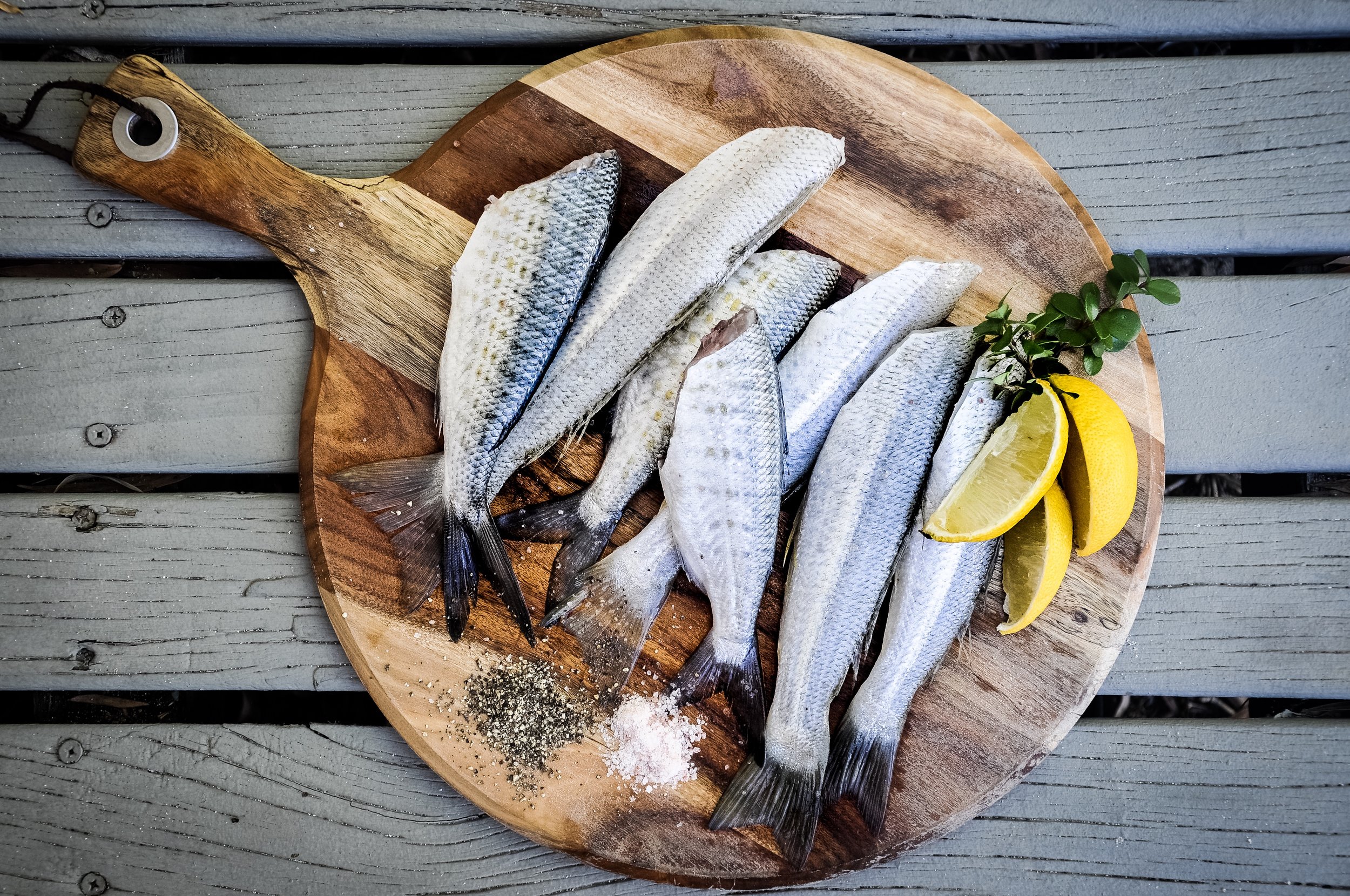 Fish are a great source of Omega 3’s
