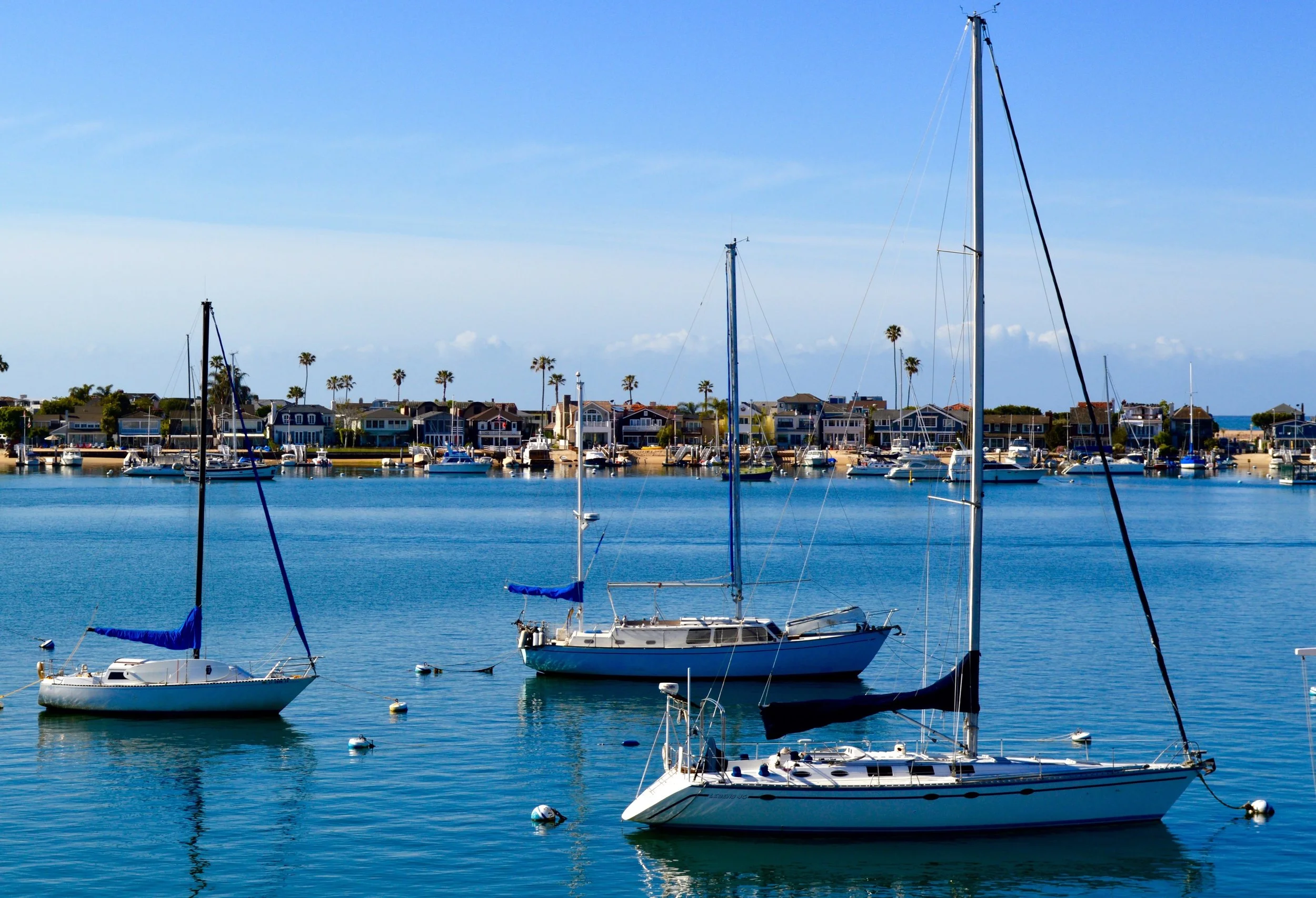 Newport Harbor Sailboats
