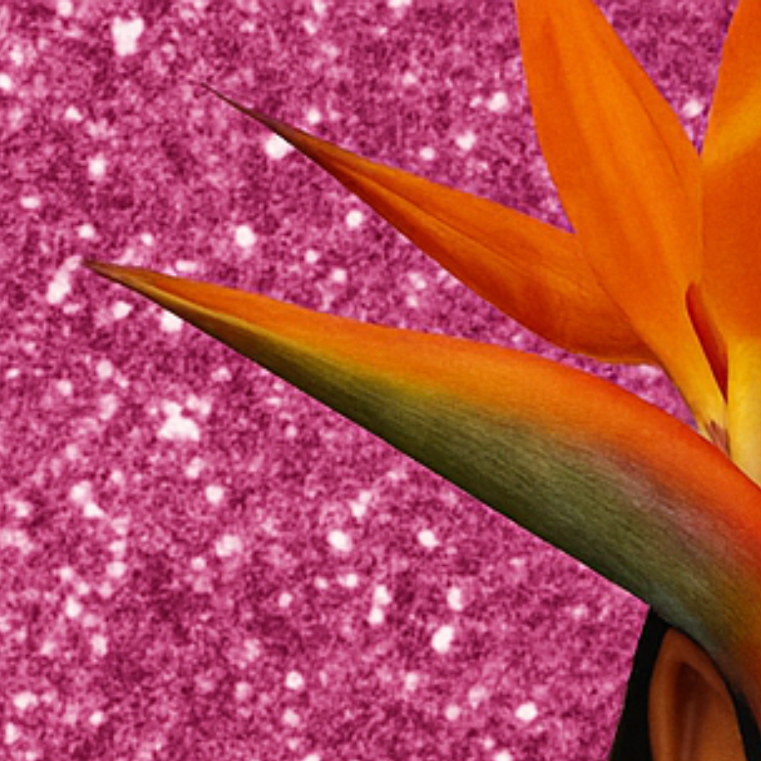 Your Ultimate Guide to Conquer Performance Reviews