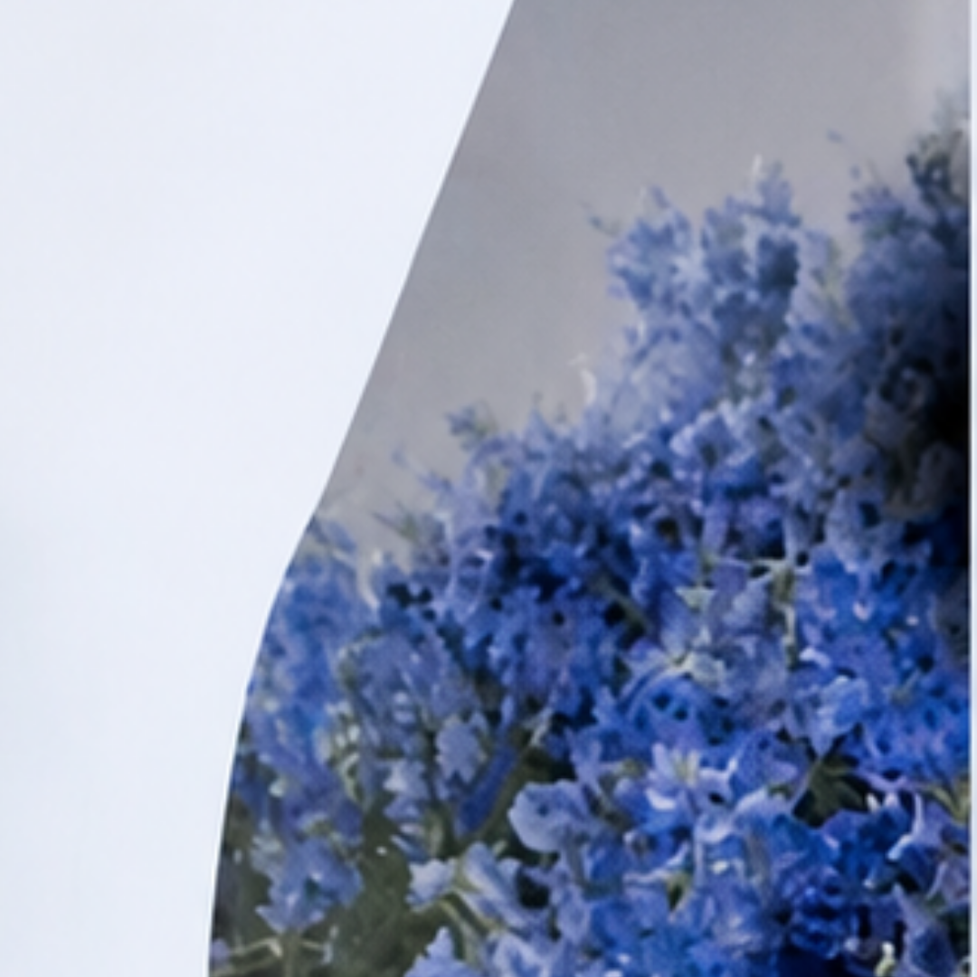 The Brands You Admire Most Almost Didn't Make It: Zimmermann &amp; Showpo's Founding Stories