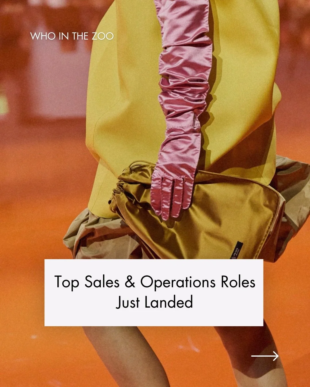 Top sales &amp; operations roles just landed ✨

These roles are live right now, from a Head of Supply Chain seat over $200K to store management, warehouse ops, wholesale and business development, spread across Sydney, Melbourne and the South Australi