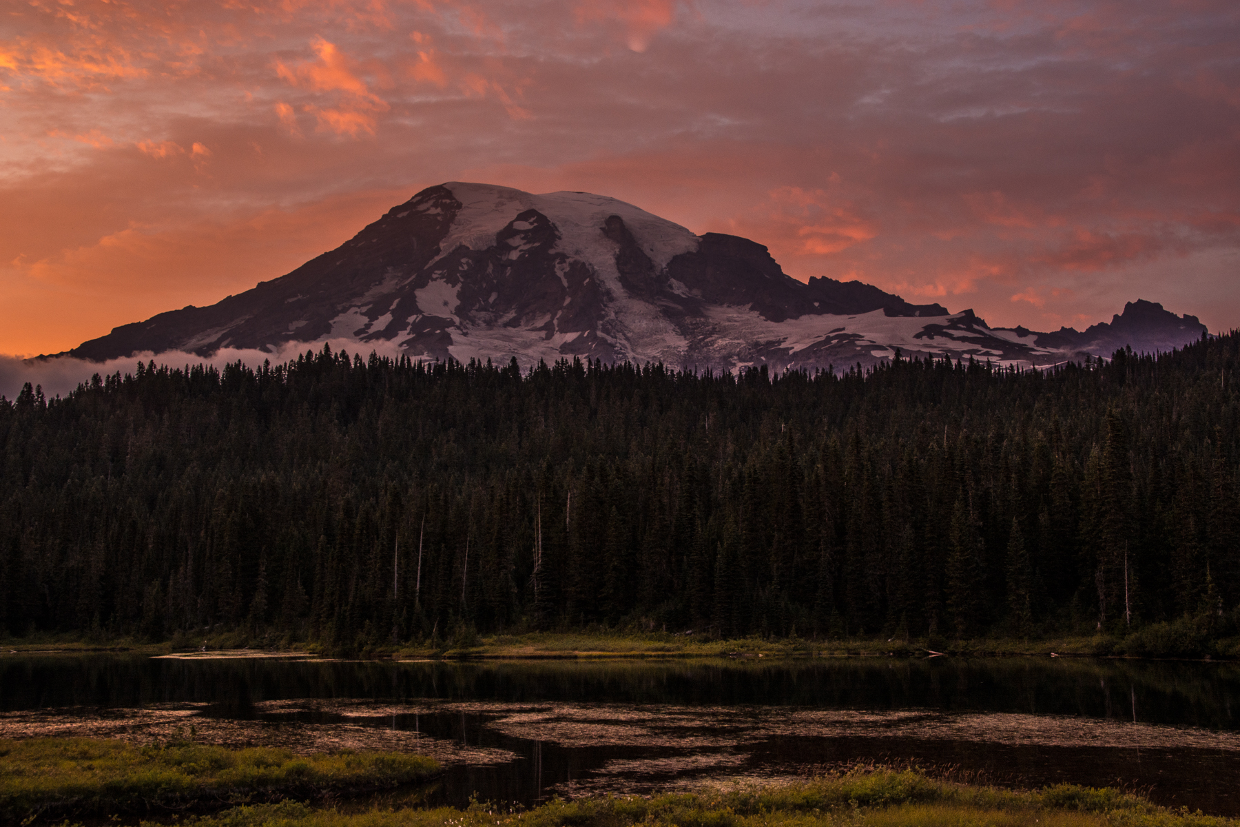 Mount Rainier NP