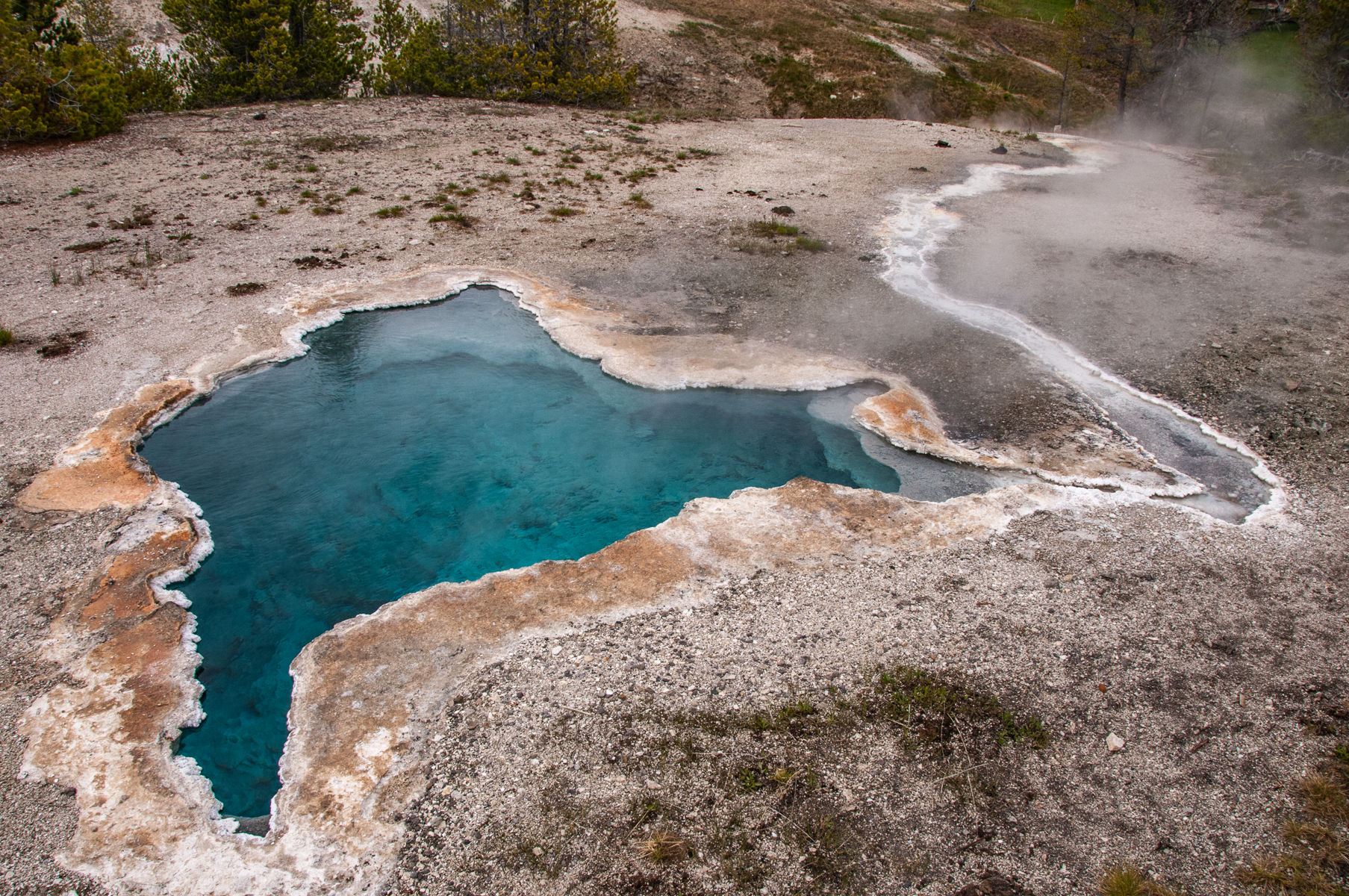 Yellowstone NP