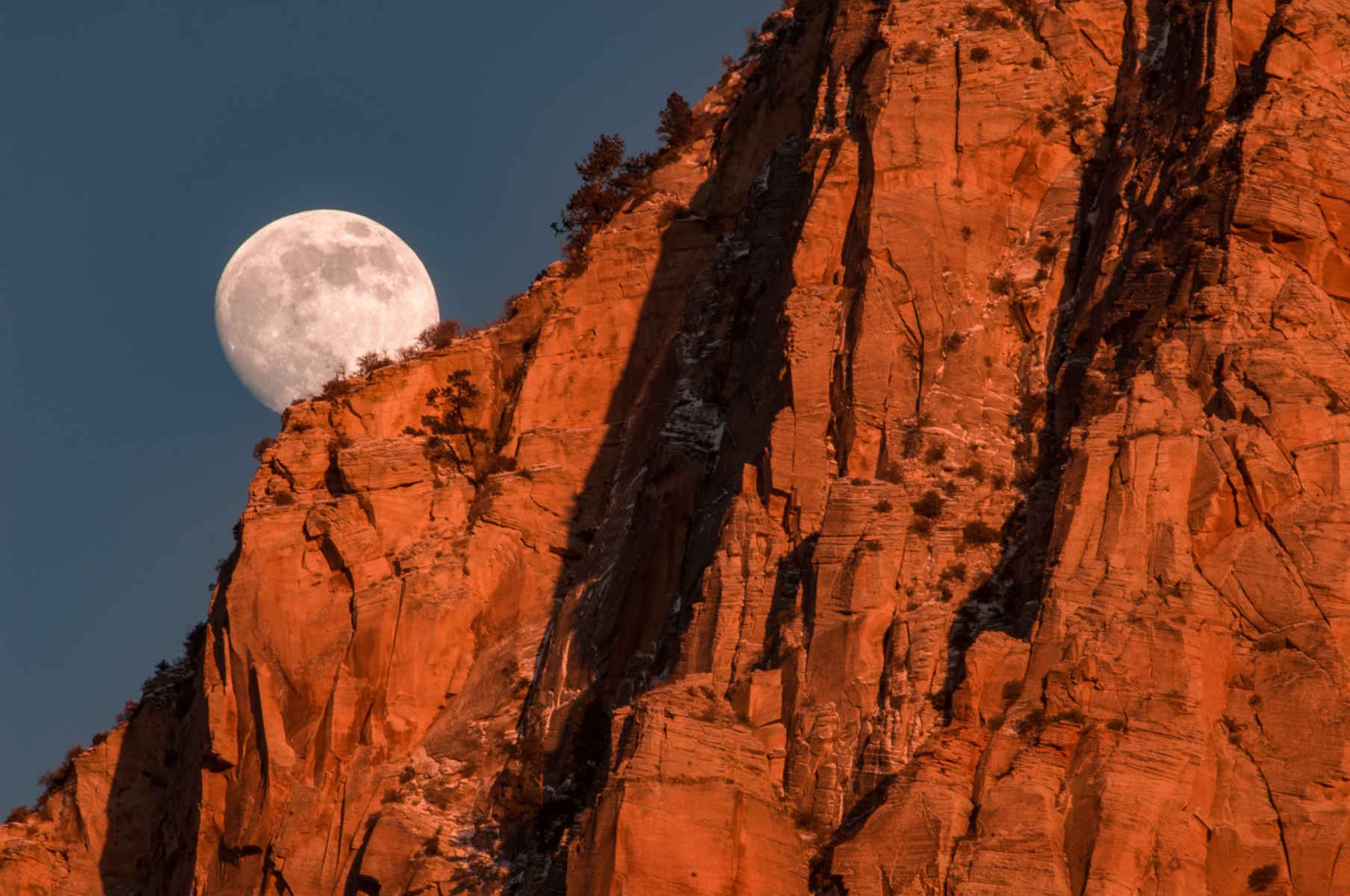 Zion NP