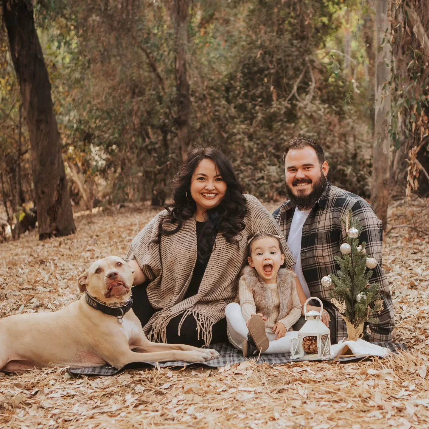 🍂 It&rsquo;s official&mdash;Fall Minis are here! These short + sweet sessions are designed for busy families who want updated photos with the season&rsquo;s cozy vibes.

✨ 15 minutes
✨ Beautiful fall backdrop
✨ Perfect for family photos + holiday ca
