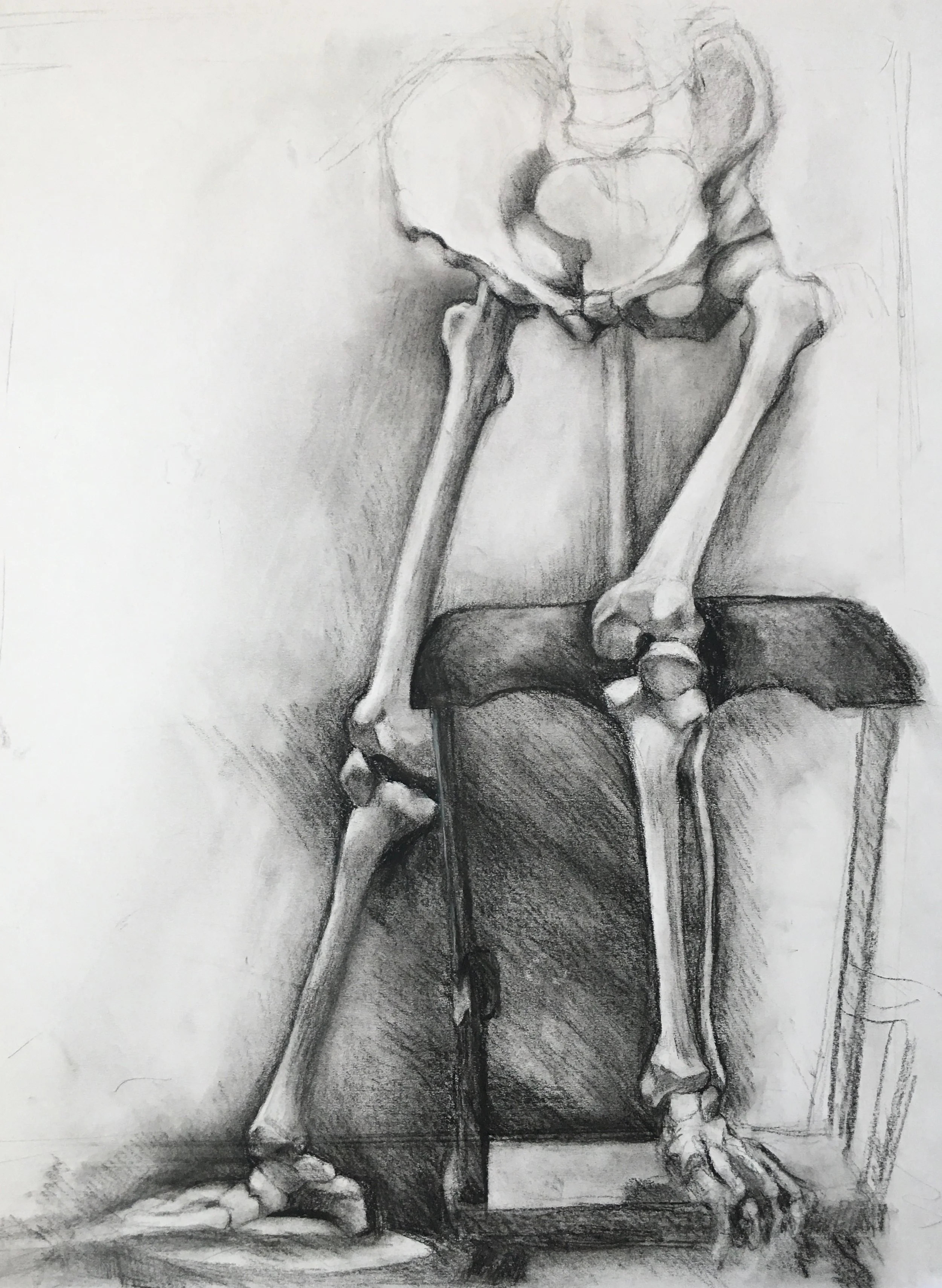 Skeleton Study - Lower Body