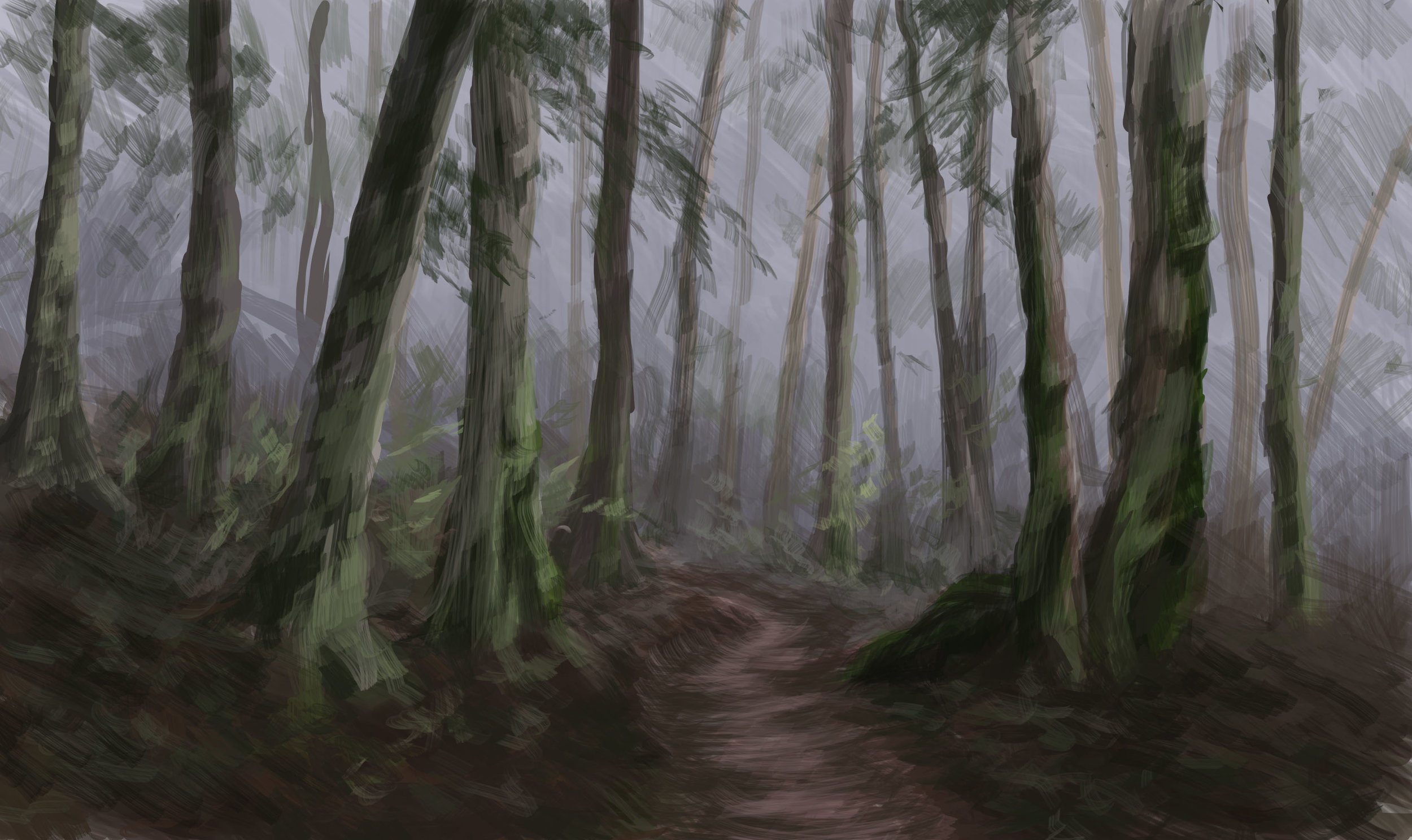  Dreary Forest Environment