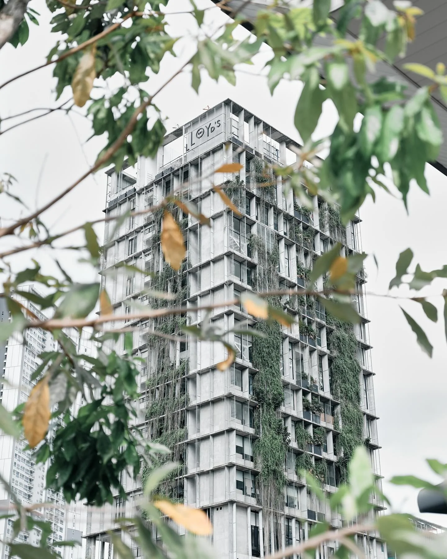 OPENING 1 APRIL 2024: Lloyd&rsquo;s Inn Kuala Lumpur brings &ldquo;Garden Oasis&rdquo; to the skies in the first of its kind, taking our signature outdoor showers &amp; tubs to the heights of a high-rise urban building. Unlike our properties in Singa