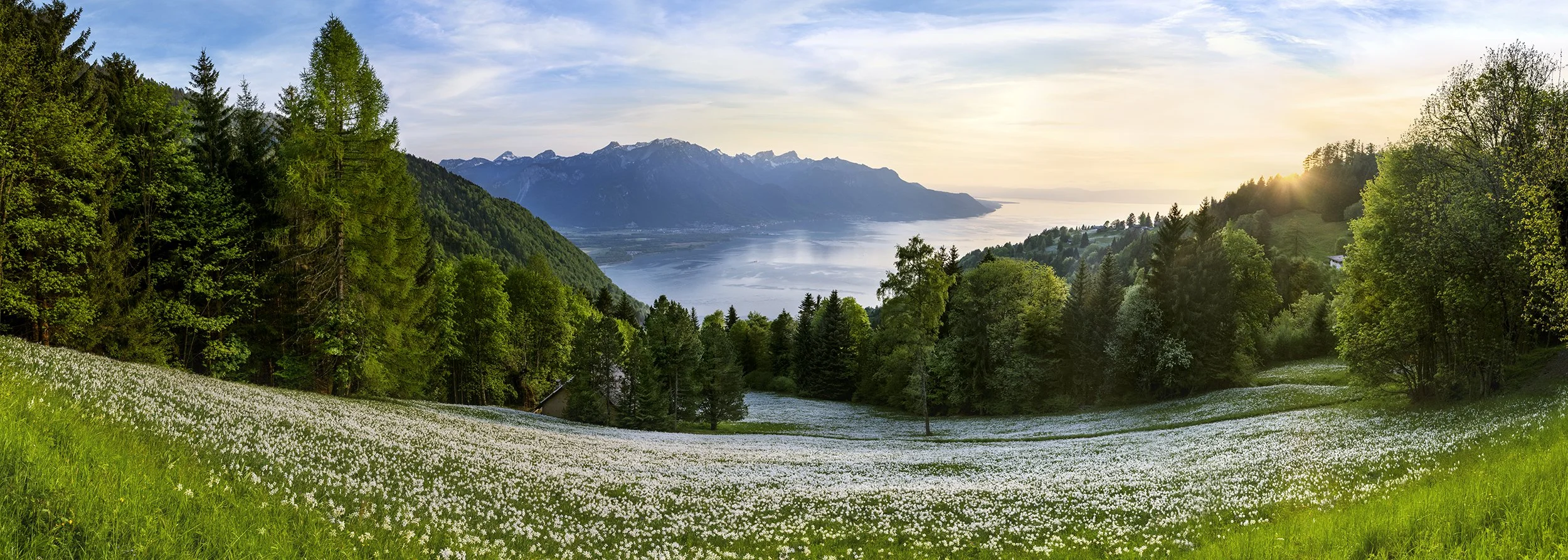 snow_of_may_panorama.jpg