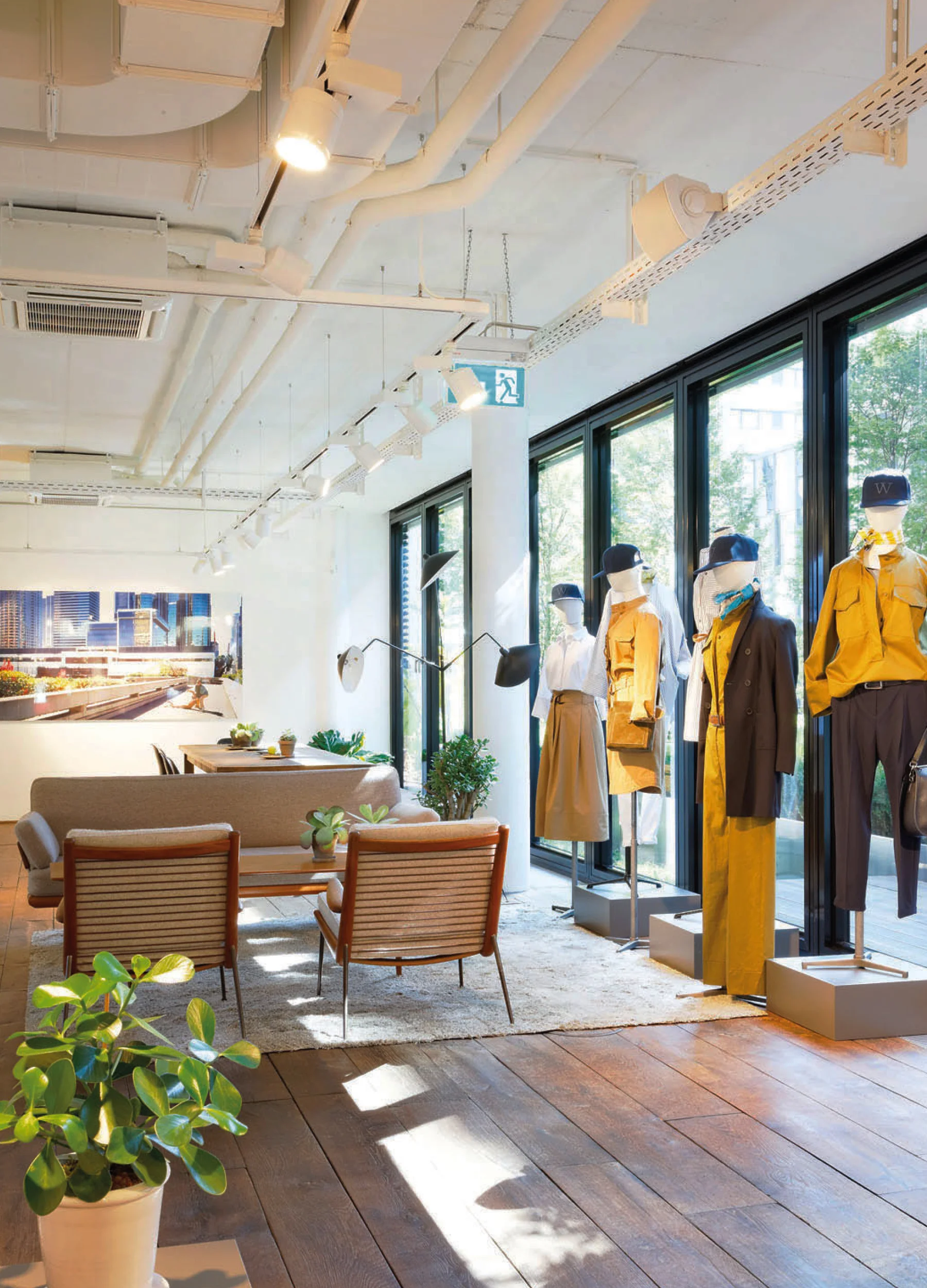 windsor. Showroom Düsseldorf