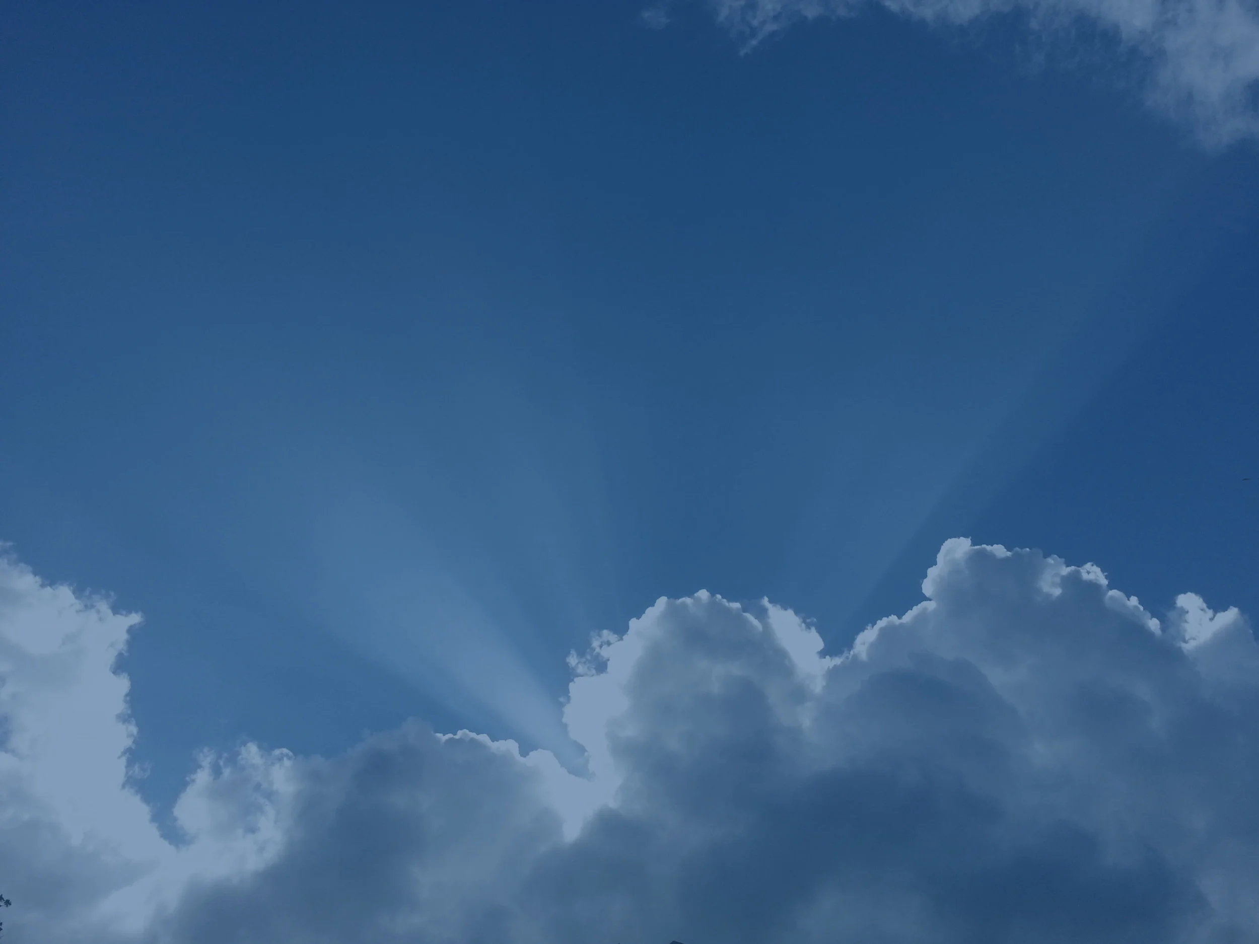 Chemosoft-sky_1.jpg