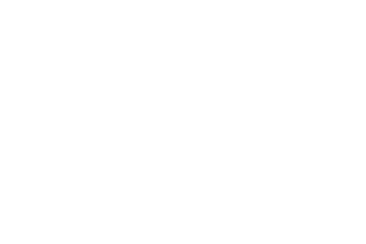 logo 4.png
