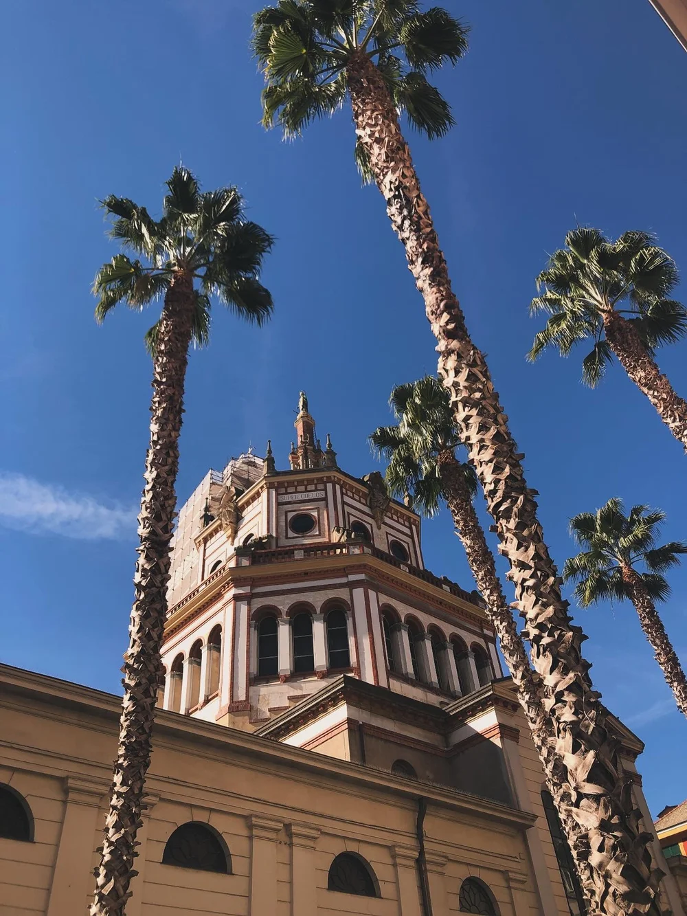 I&rsquo;m just a traveler 🎶