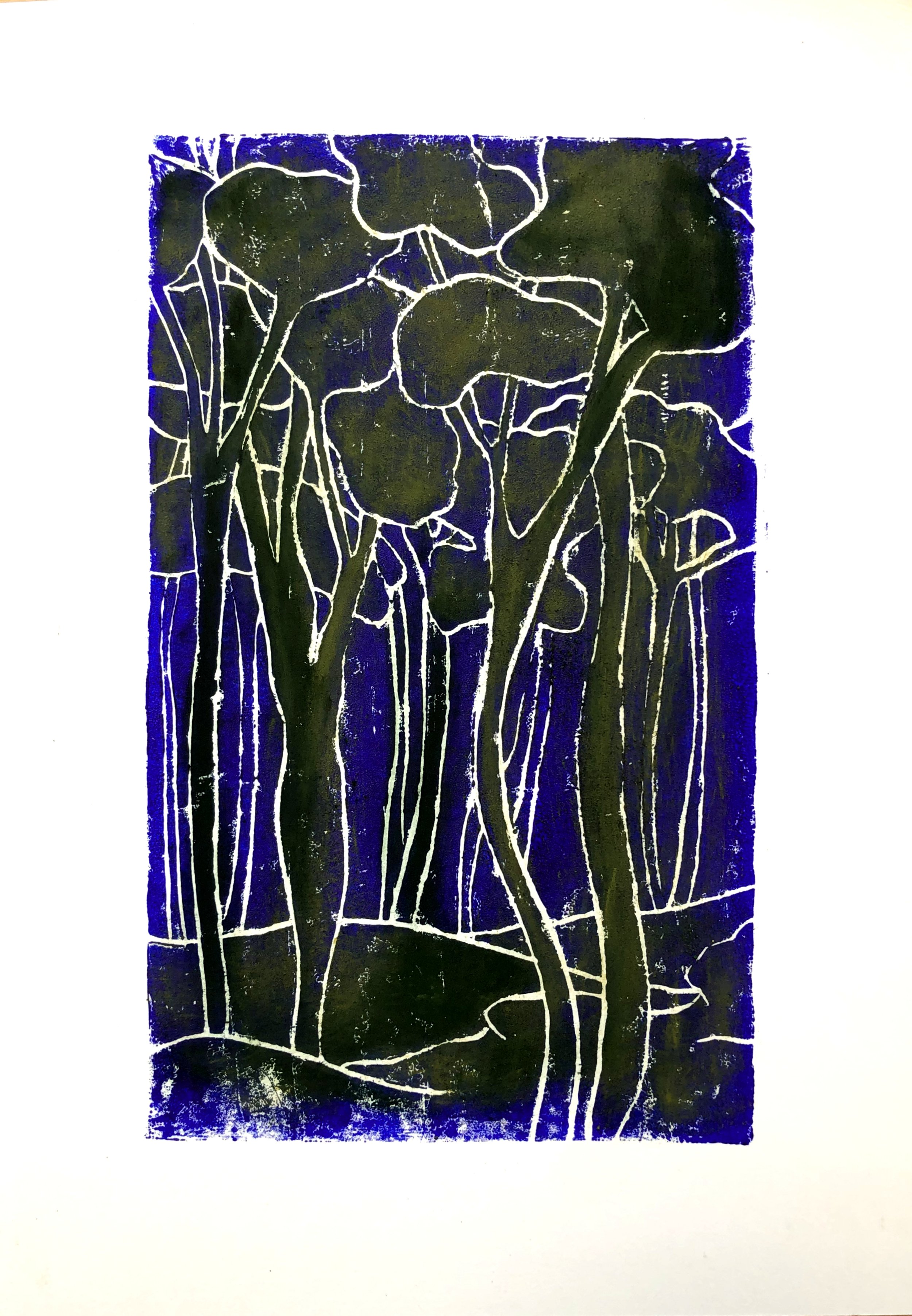 linogravure 2 zoom.jpg
