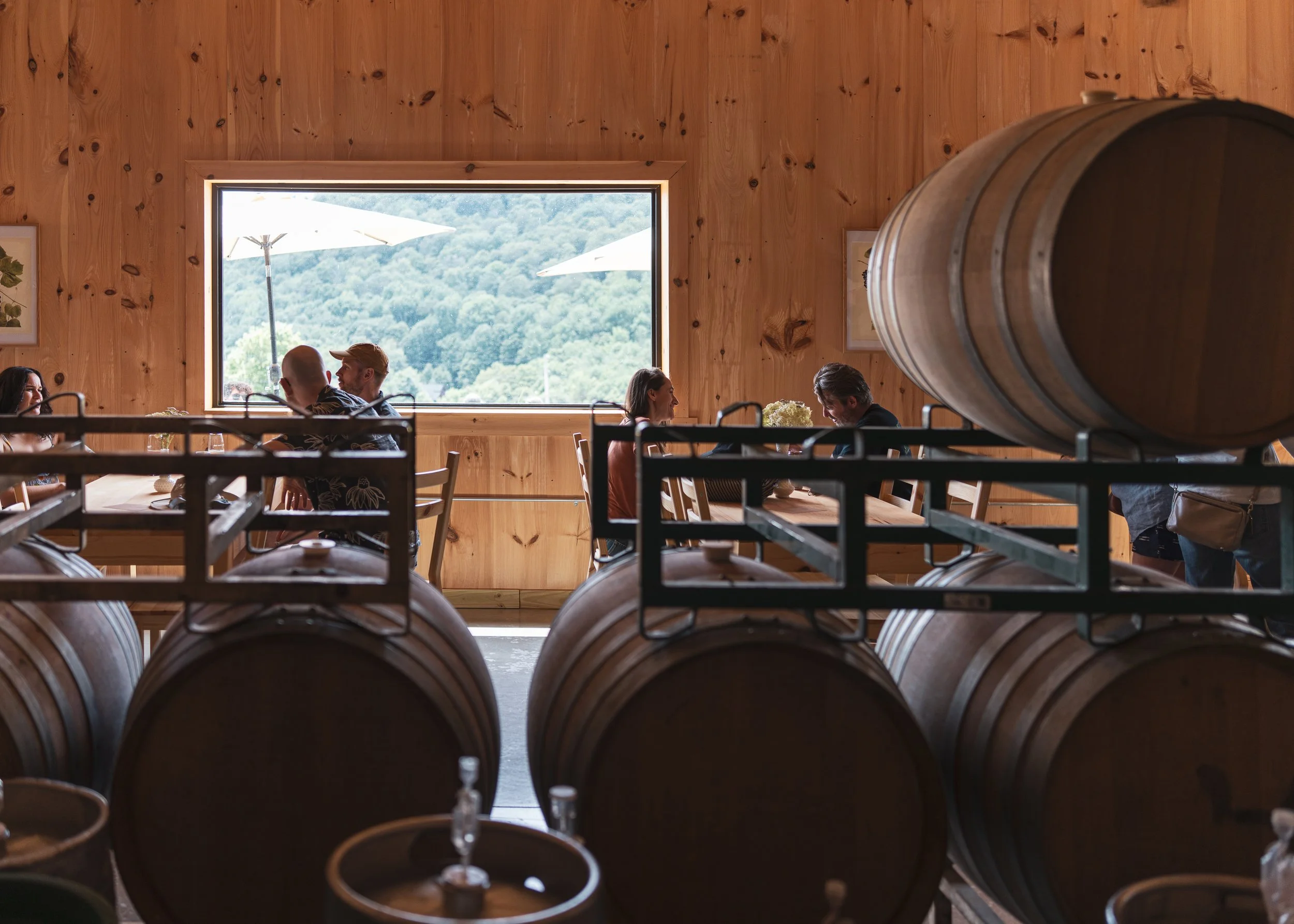 DEAR NATIVE GRAPES TASTING ROOM_PHOTO BY JASON MARTIN.jpg