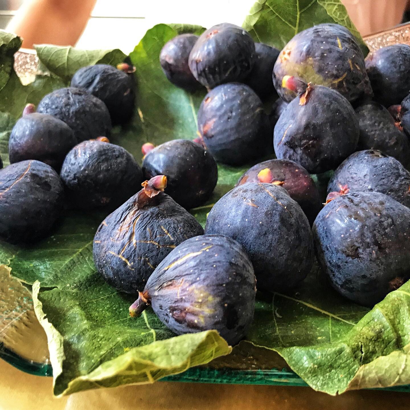 Just when I was feeling sad about Mallorca&rsquo;s cherry season coming to an end, the juicy, sweet, delicious FIG season began.. 😂😂 Mallorca never fails to disappoint! #higos #figfest #mallorca #soooogood #iloveithere