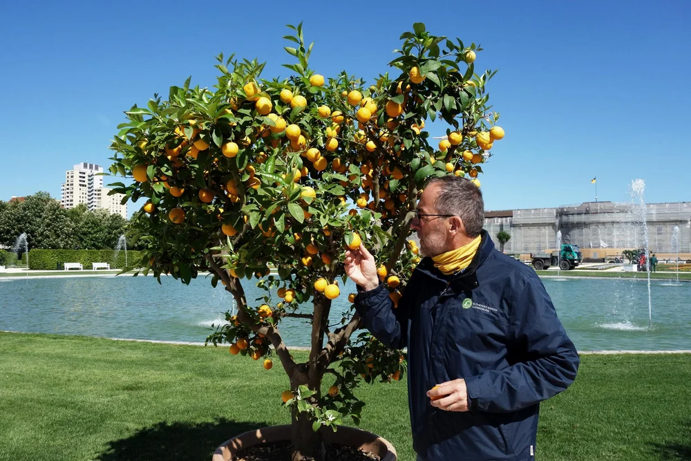 Das Blüba blüht wieder für uns — Velle Verlag Hallo Ludwigsburg