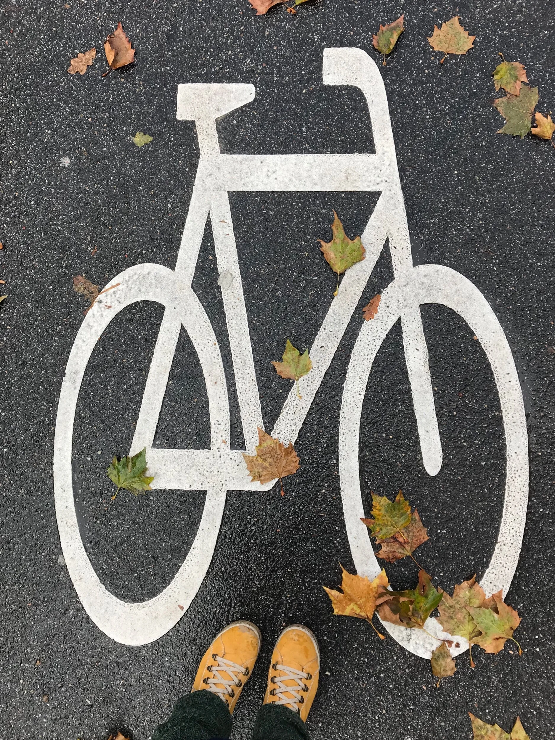 Wie fahrradfreundlich ist Ludwigsburg?