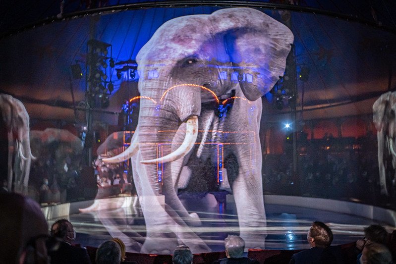 zirkus-roncalli-ludwigsburg-elefant-hologramm-manege.jpg