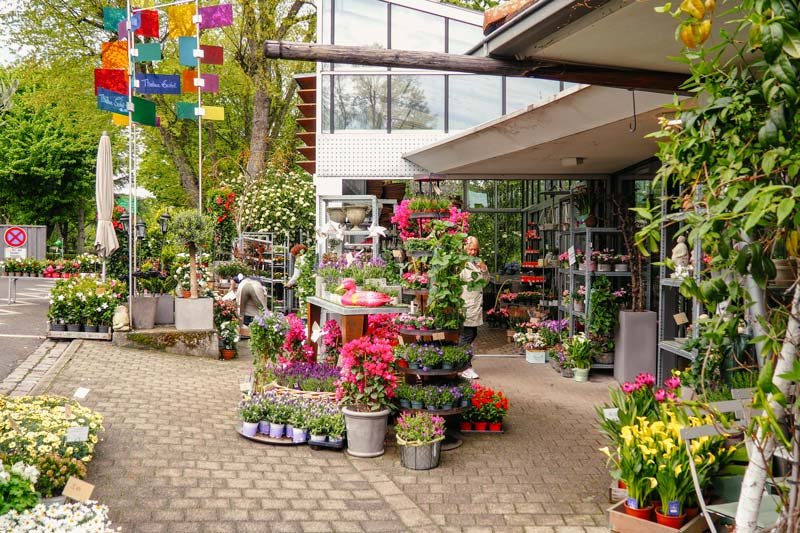 sofi-cafe-fruehstucken-gehen-bietigheim-bissingen-thabea-blumen-friedhof-gaertnerei.jpg