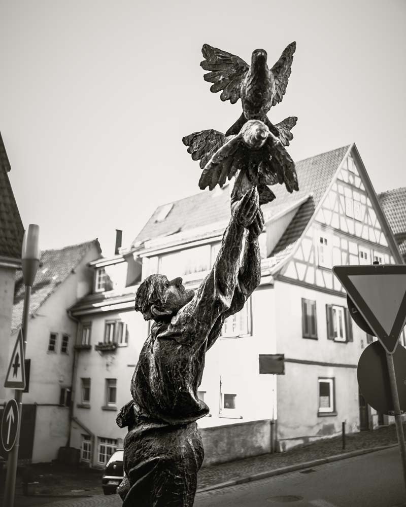 besigheim-skulpturen-pfad-tauben-mann-kunst-im-oeffentlichen-raum-citytrip-ausflugsziel-ausflugstipps-hallo-ludwigsburg-fotografie-antonio-chiok.jpg