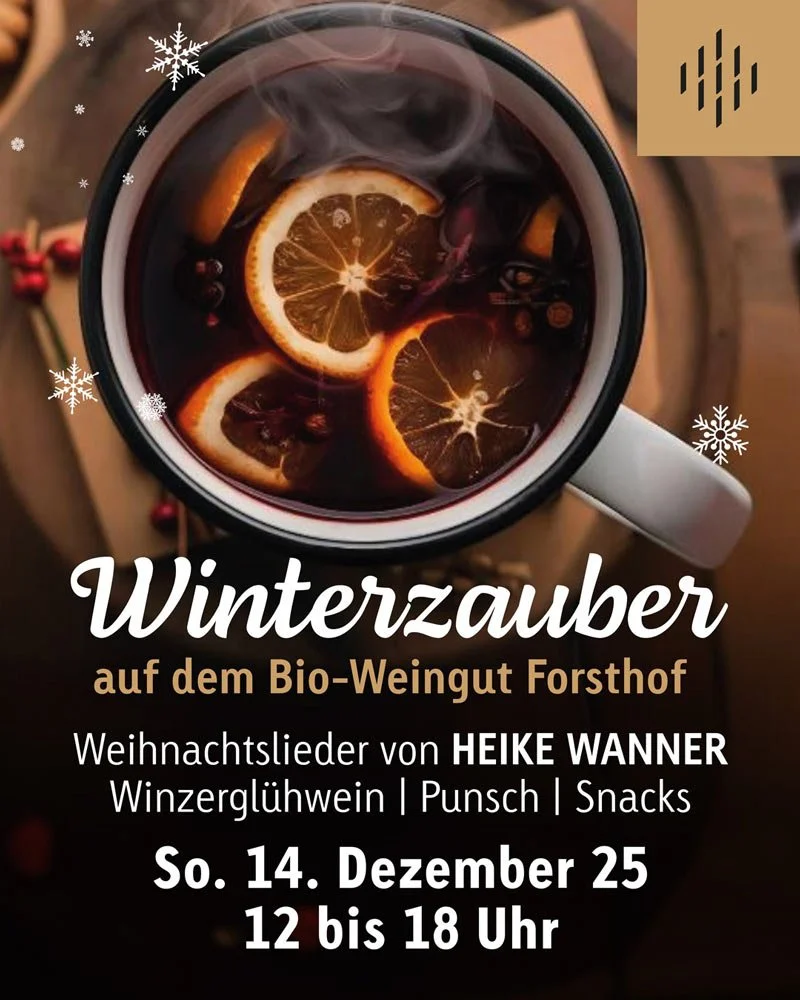 Winterzauber • Strickkino • Big Band Battle im Advent 