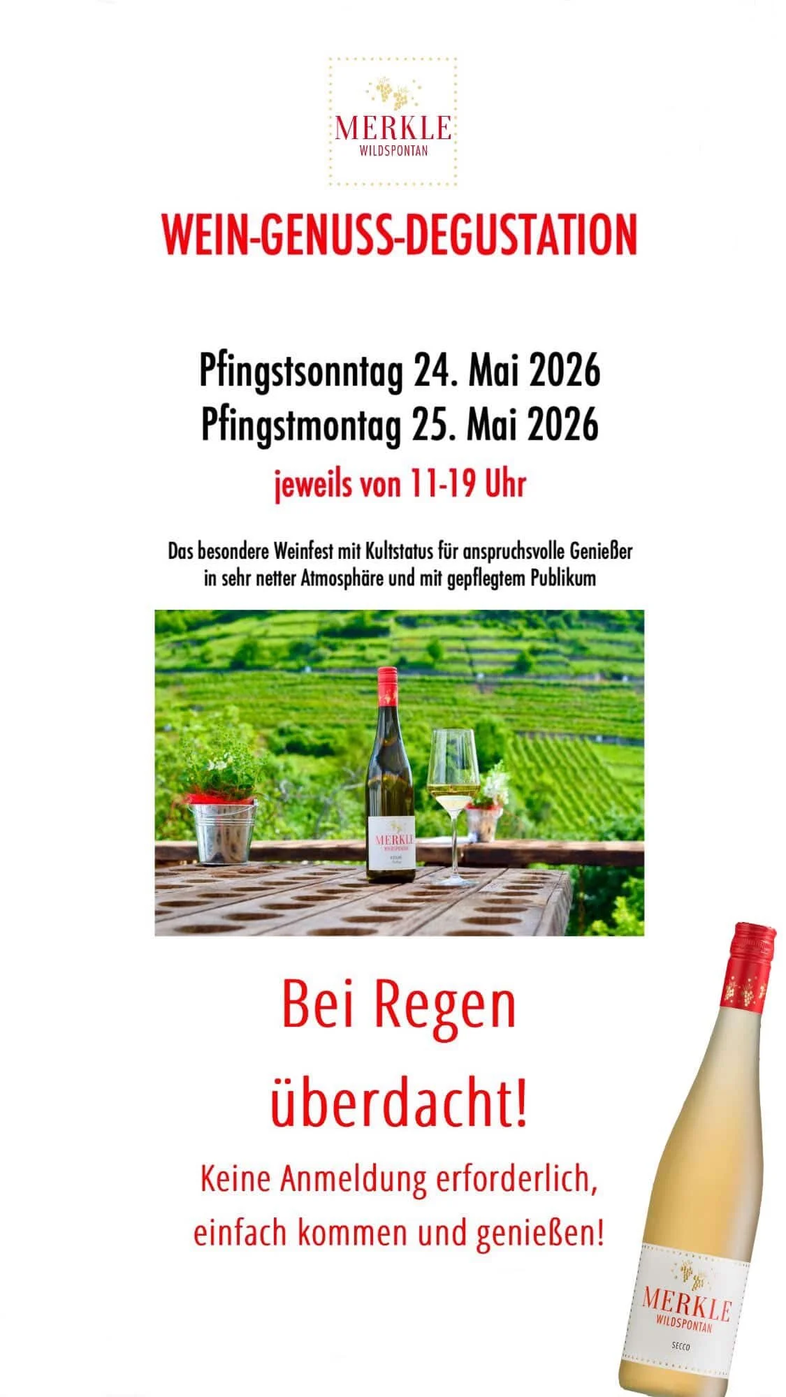 weinfest-pfingsten-weingut-merkle-wein-degustation-weintasting-weinprobe-landkreis-ludwigsburg-weinberge.jpg