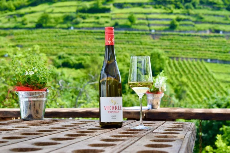 weingut-merkle-wildspontan.jpg