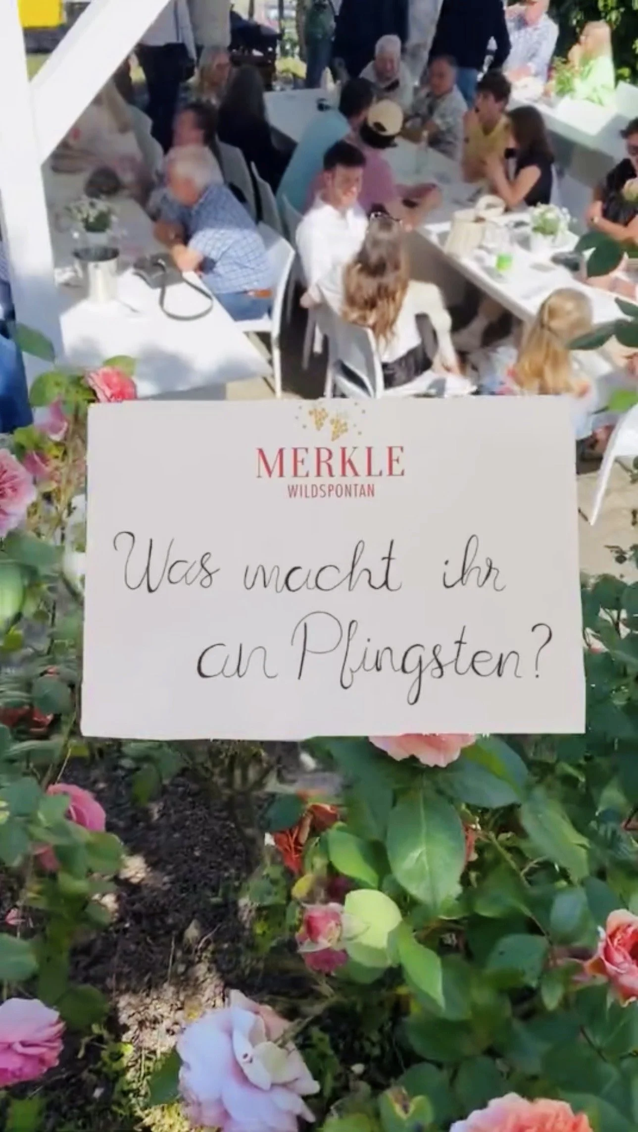 weinfest-merkle-wein-degustation-winzerfest-pfingsten-sachsenheim-ochsenbach.jpg