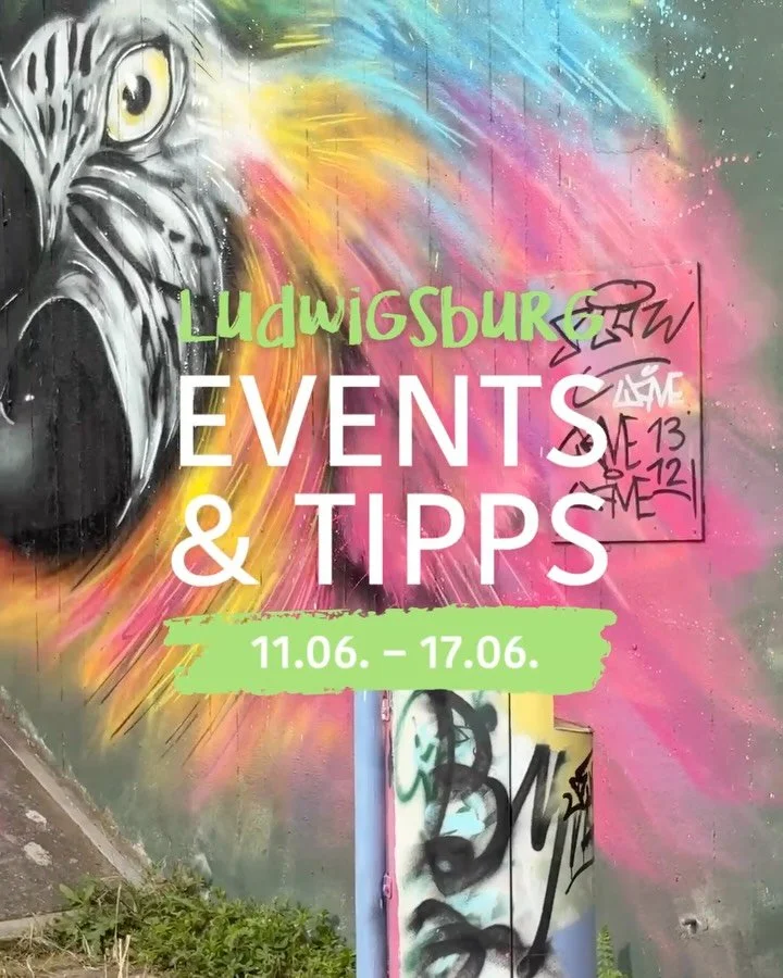 Ludwigsburg, was geht? 🤩 Dieses Wochenende zeigst du dich mal wieder von deiner buntesten Seite, was Veranstaltungen angeht. Wir haben die besten Eventtipps f&uuml;r euch zusammen gestellt! 

Sogar ganz ohne Fu&szlig;ball in den Slides 😅 Einen Spec