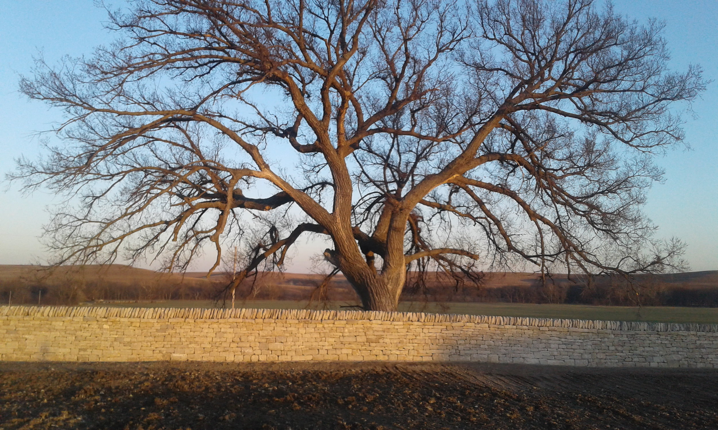 Tallgrass Prairie National Preserve