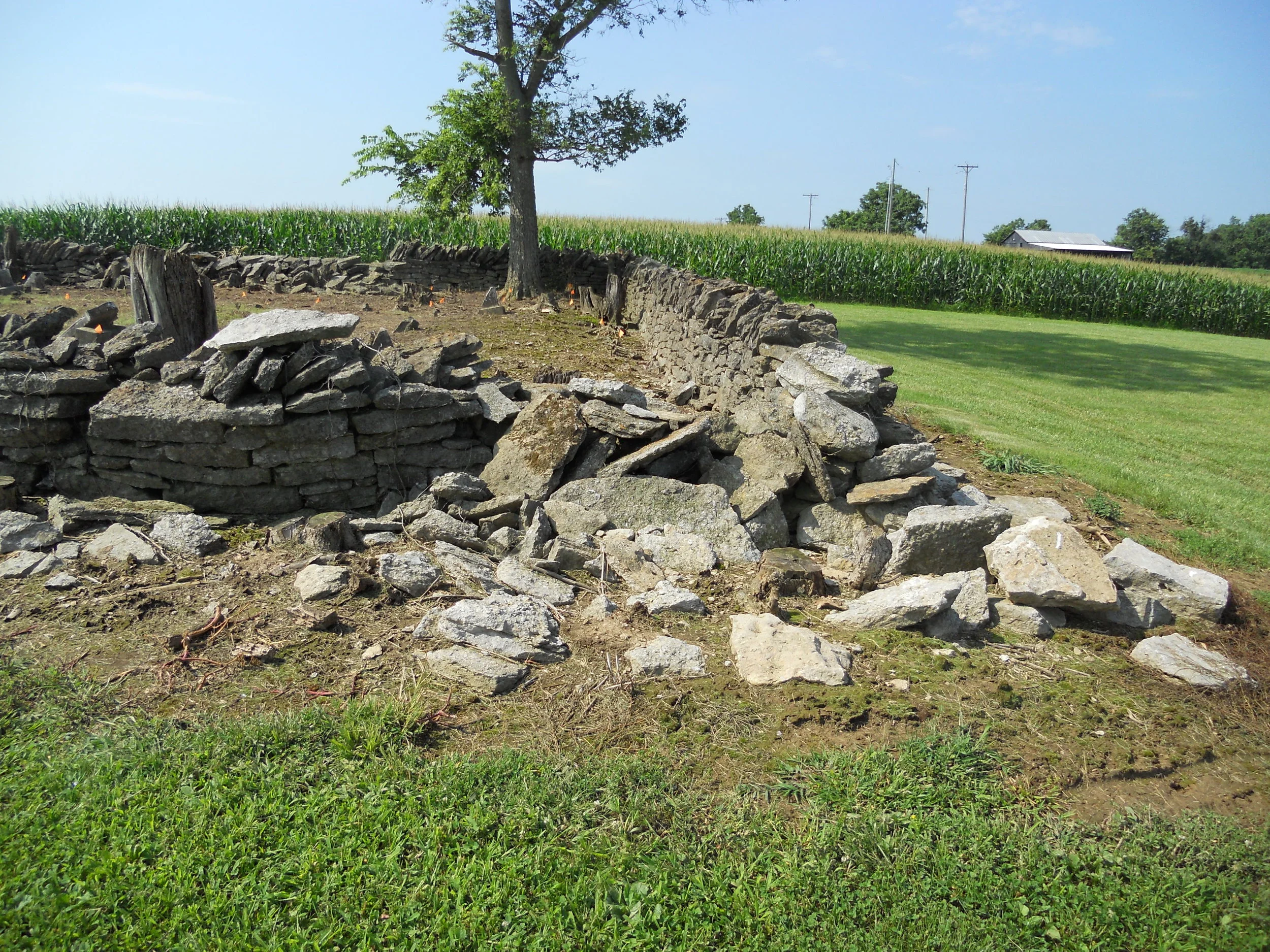 DSCN0597.JPG