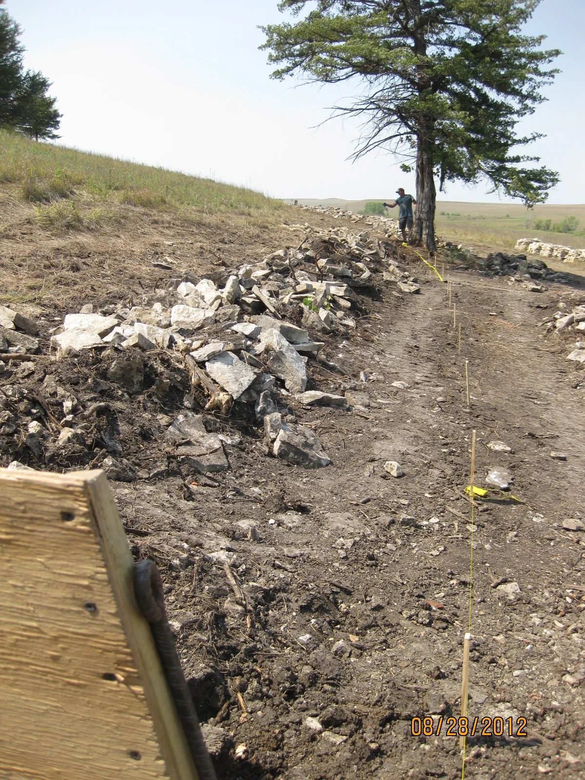 DSC IMG_1060 - Copy.JPG