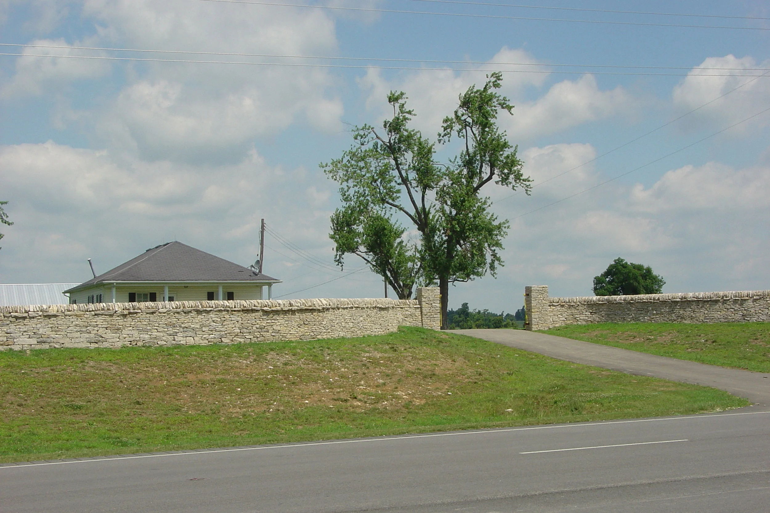 MillineumFarm9a.JPG