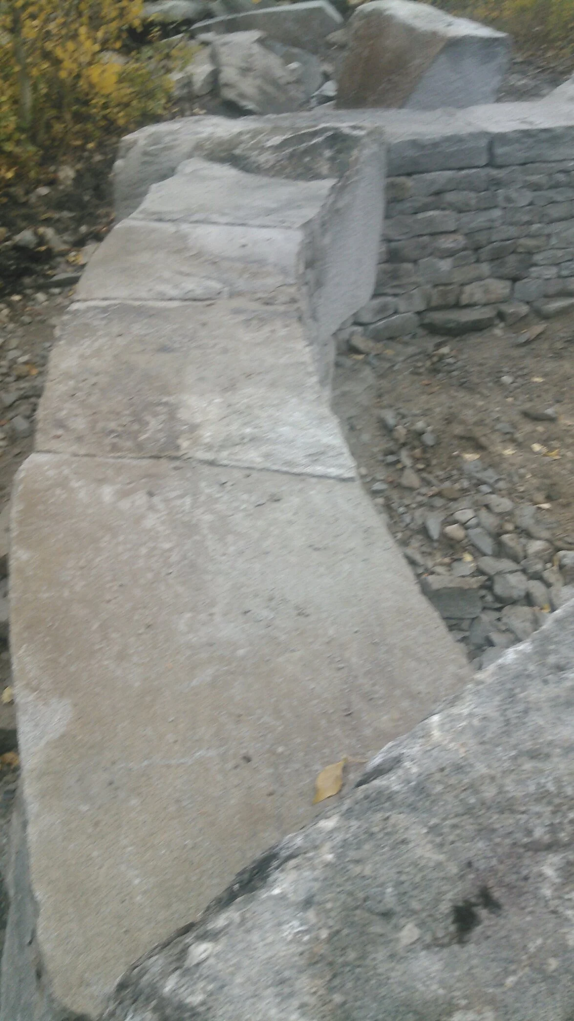 GRTE_ 2016-09-23 sj285.jpeg