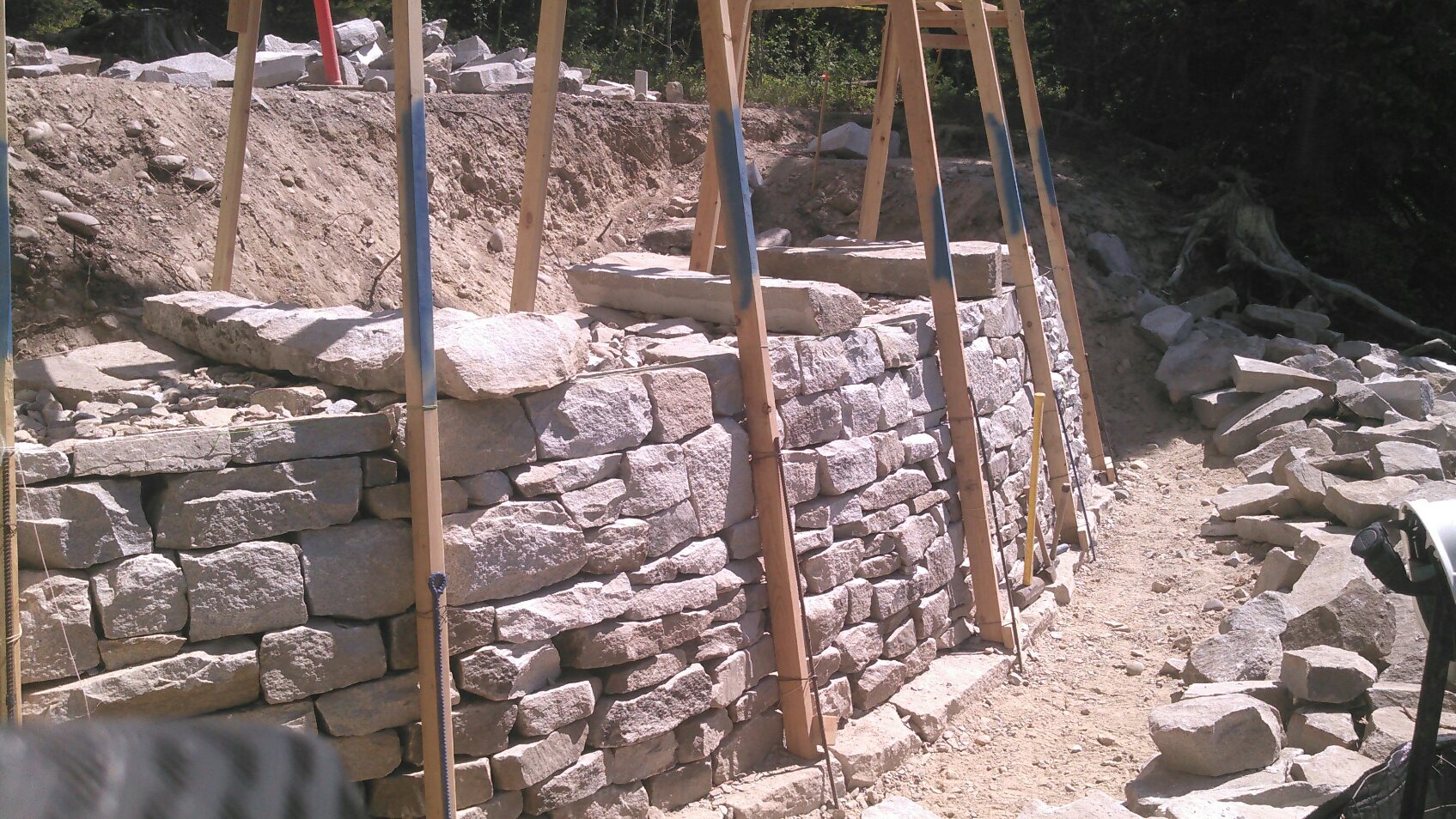 GRTE_ 2016-07-26 sj228.jpeg
