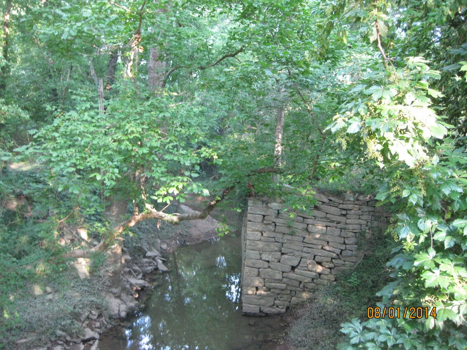 IMG_0150.JPG