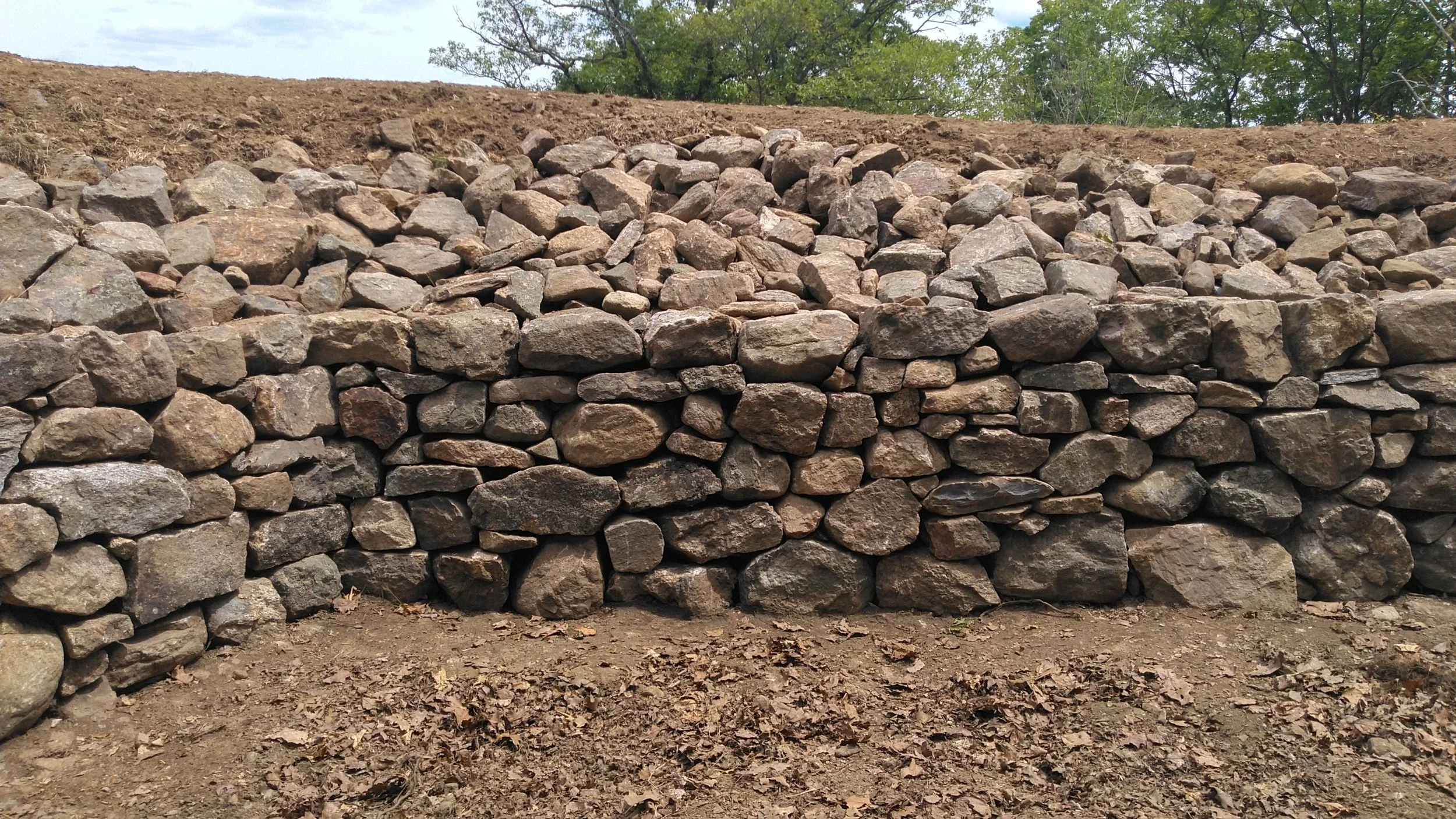 2025-05-27jmw D-E 1 KIMG4047.JPG