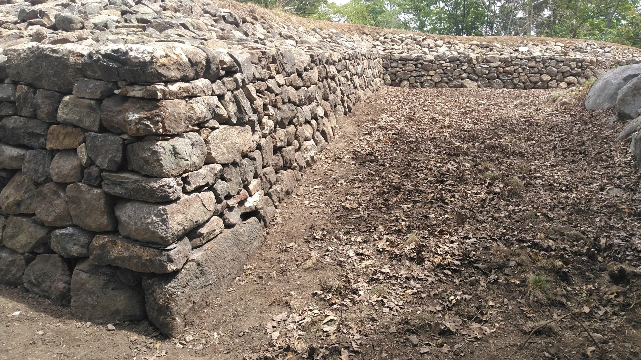 2025-05-27jmw C-D-E KIMG4037.JPG