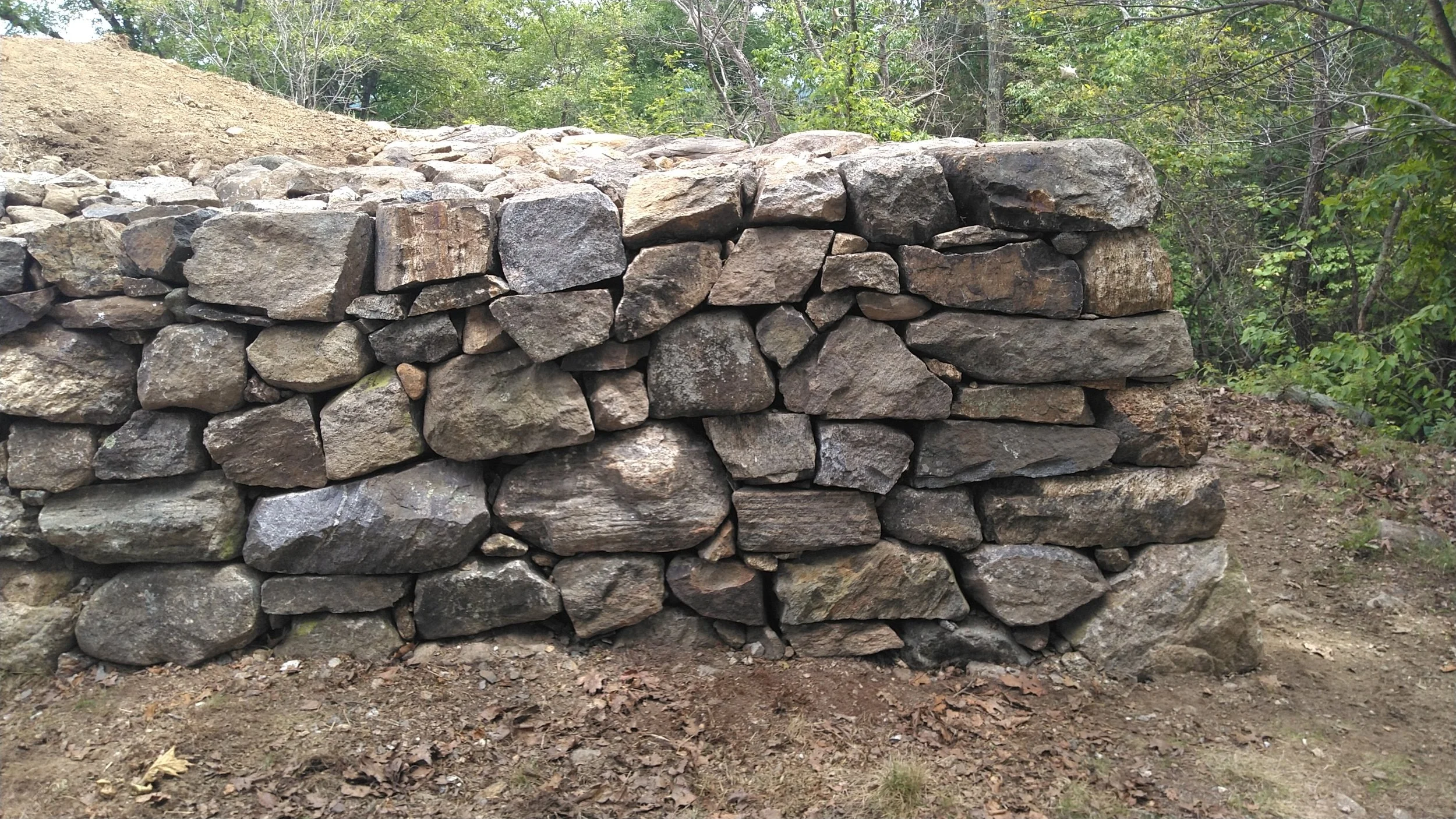 2025-05-27jmw D-E 5 KIMG4051.JPG