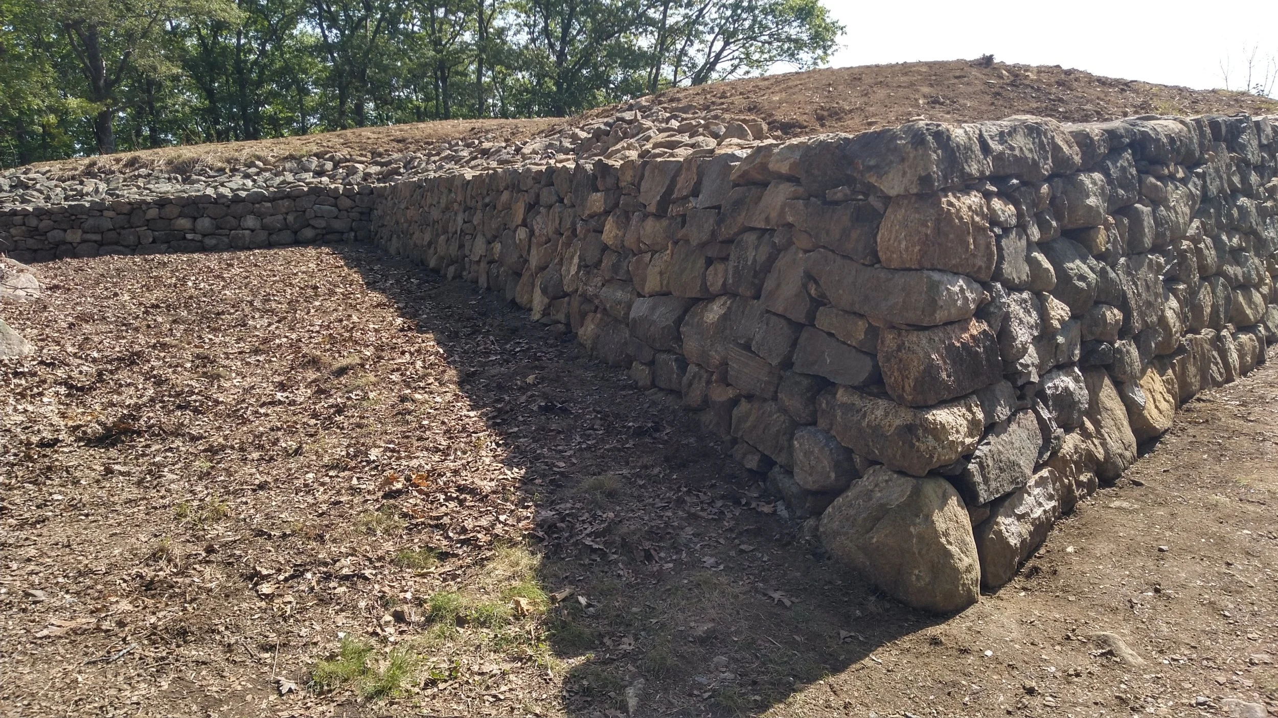 2025-05-27jmw D-E KIMG4007.JPG