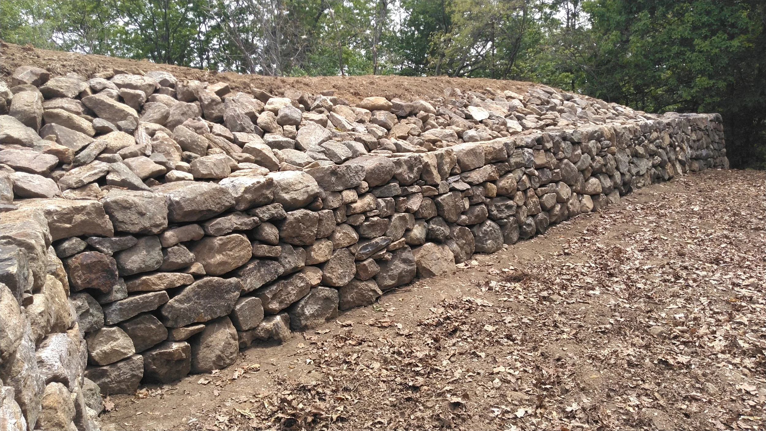 2025-05-27jmw D-E KIMG4045.JPG