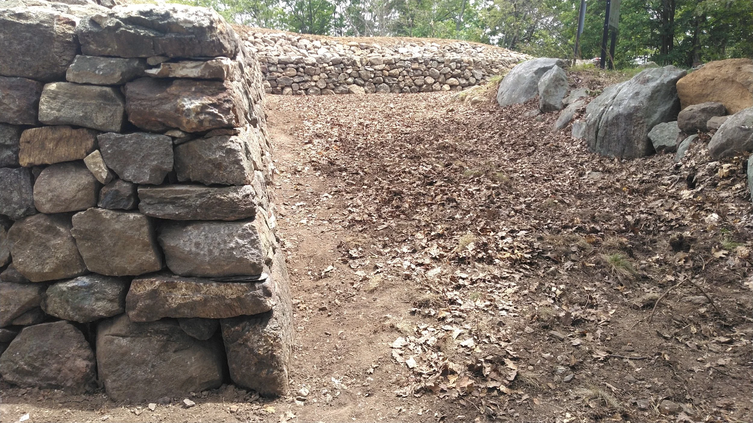 2025-05-27jmw C KIMG4038.JPG