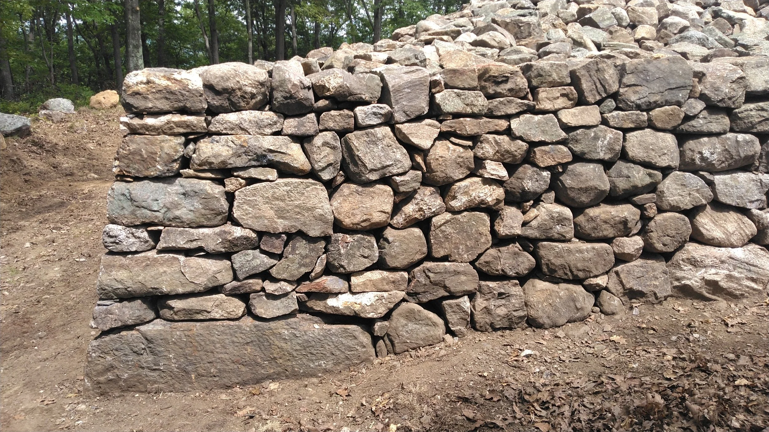 2025-05-27jmw C-D 1 KIMG4039.JPG