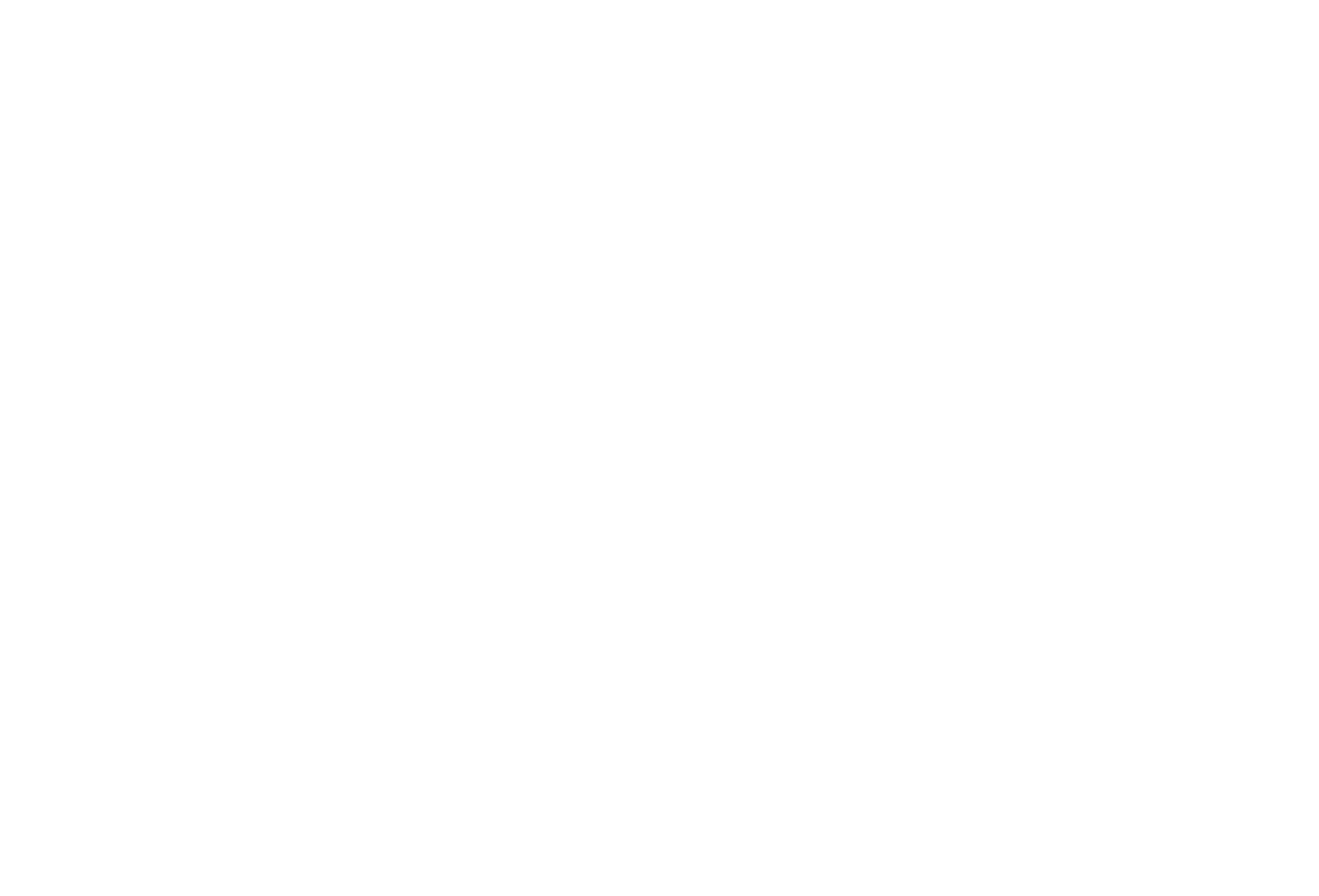 Seattle Jiu-Jitsu Academy