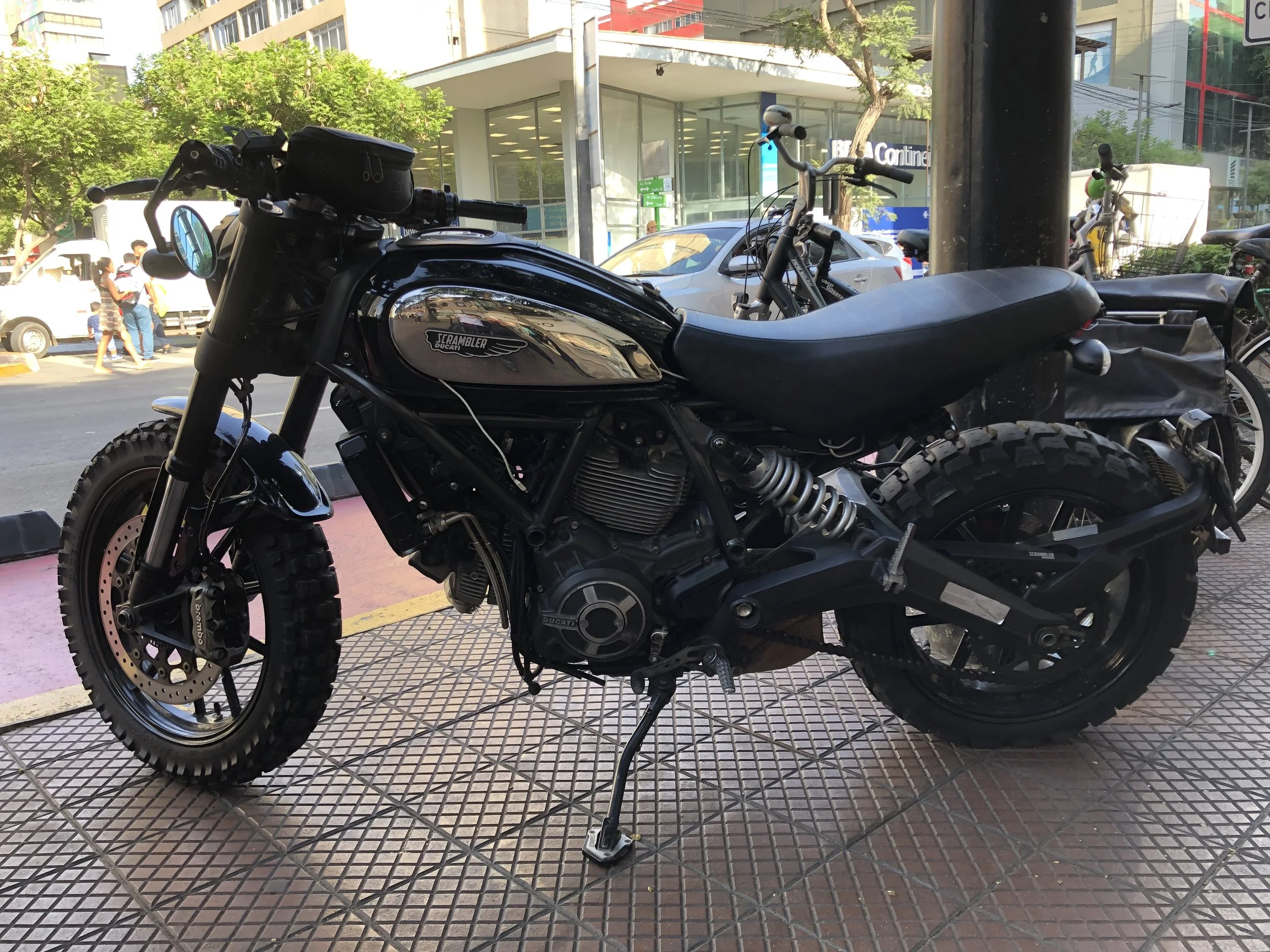 ducati scrambler club